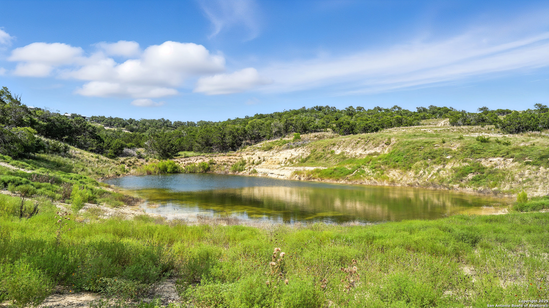 340 West Starview Cove Blanco, TX 78606 - Photo 8 of 25 a view of lake with green space
