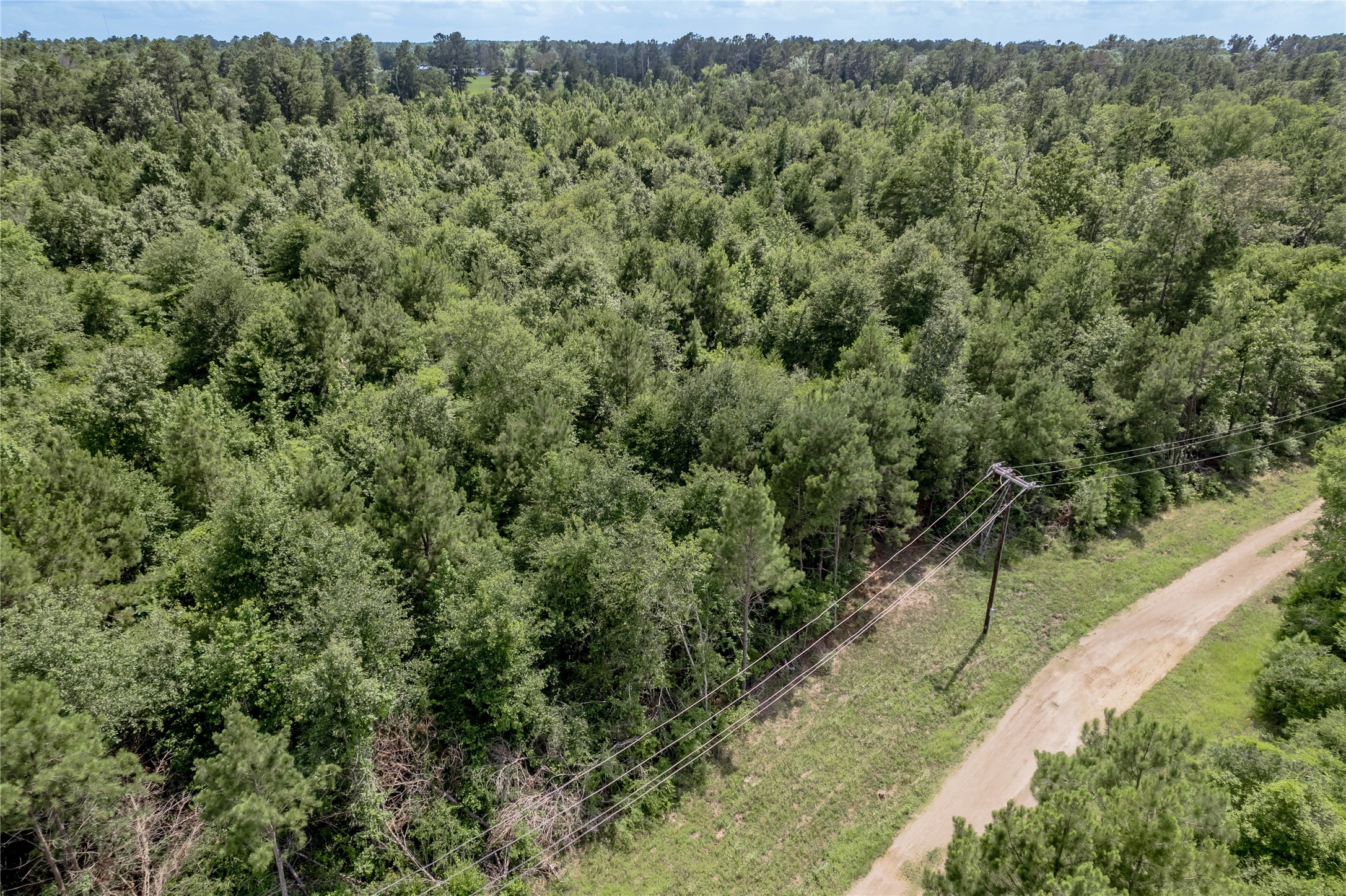 Na Gaston Road Apple Springs, TX 75926 - Photo 9 of 12