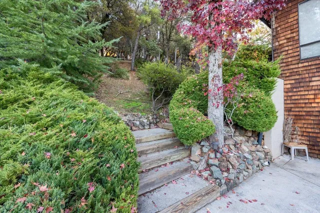 a view of a house with large trees and wooden fence