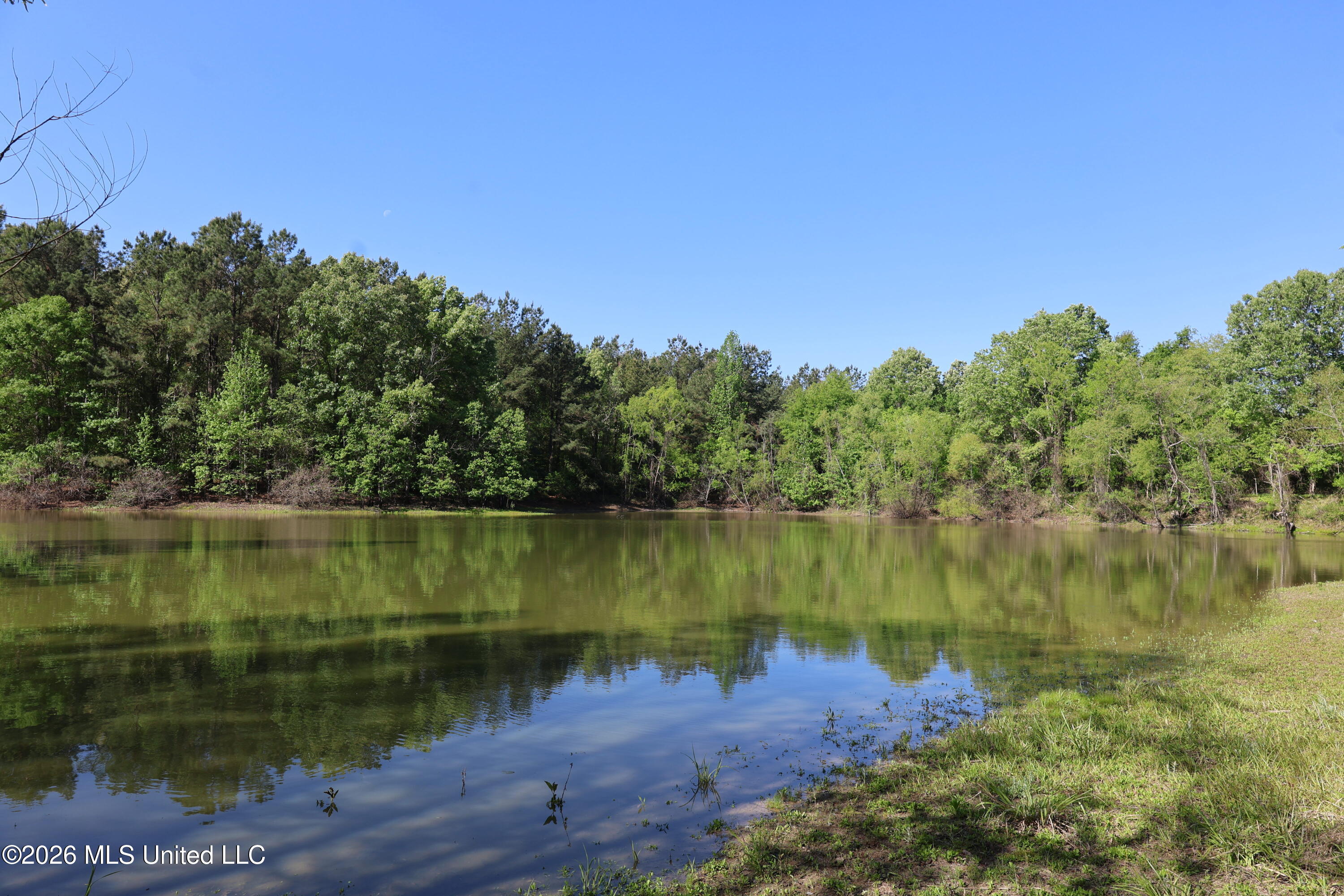 1060 Pearline Bailey Rd Port Port Gibson, MS 39150 - Photo 5 of 63 0303446B-B094-4724-BCB1-C02D76EBFC74