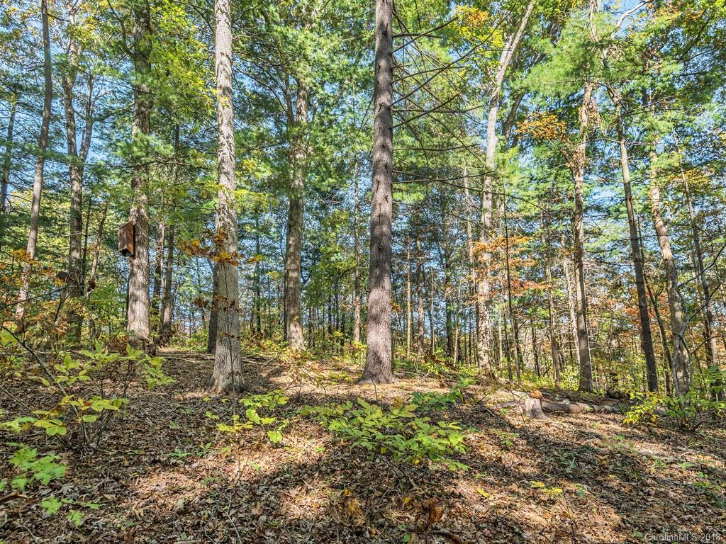 26 Tall Oaks Road Candler, NC 28715 - Photo 18 of 18 Gallery Image 18