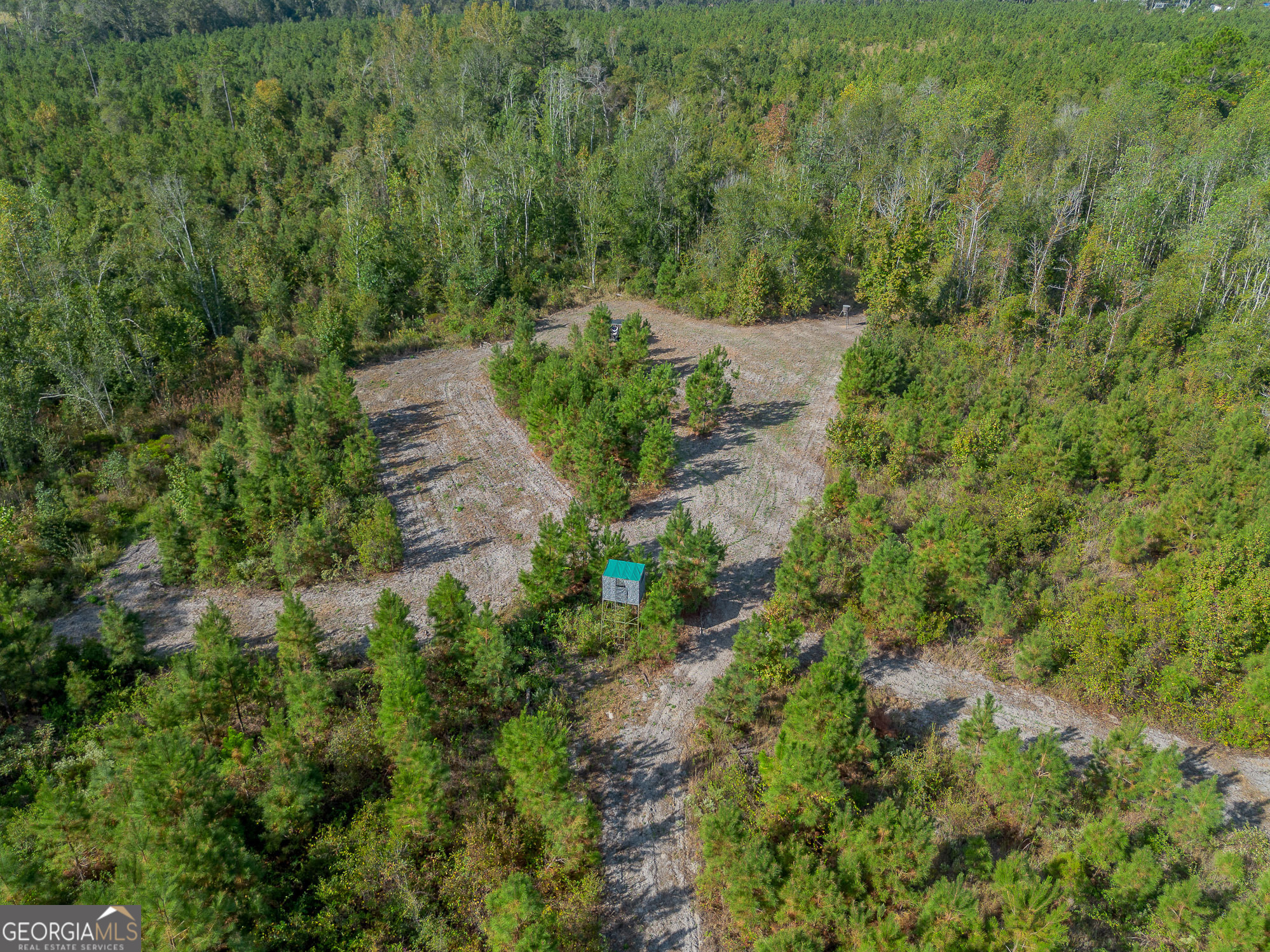 8 United Church Road Jacksonville, GA 31544 - Photo 11 of 17