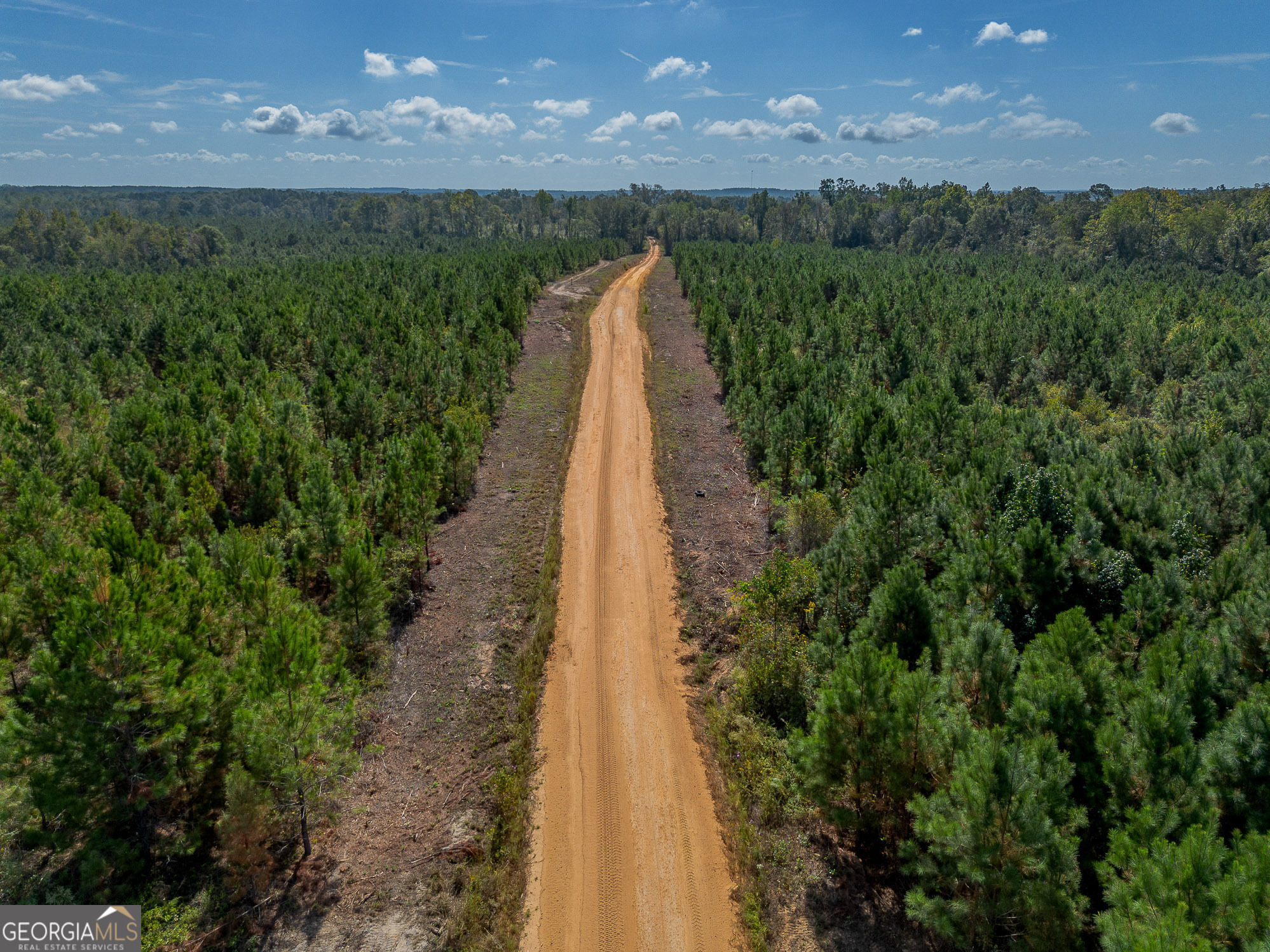 8 United Church Road Jacksonville, GA 31544 - Photo 13 of 17