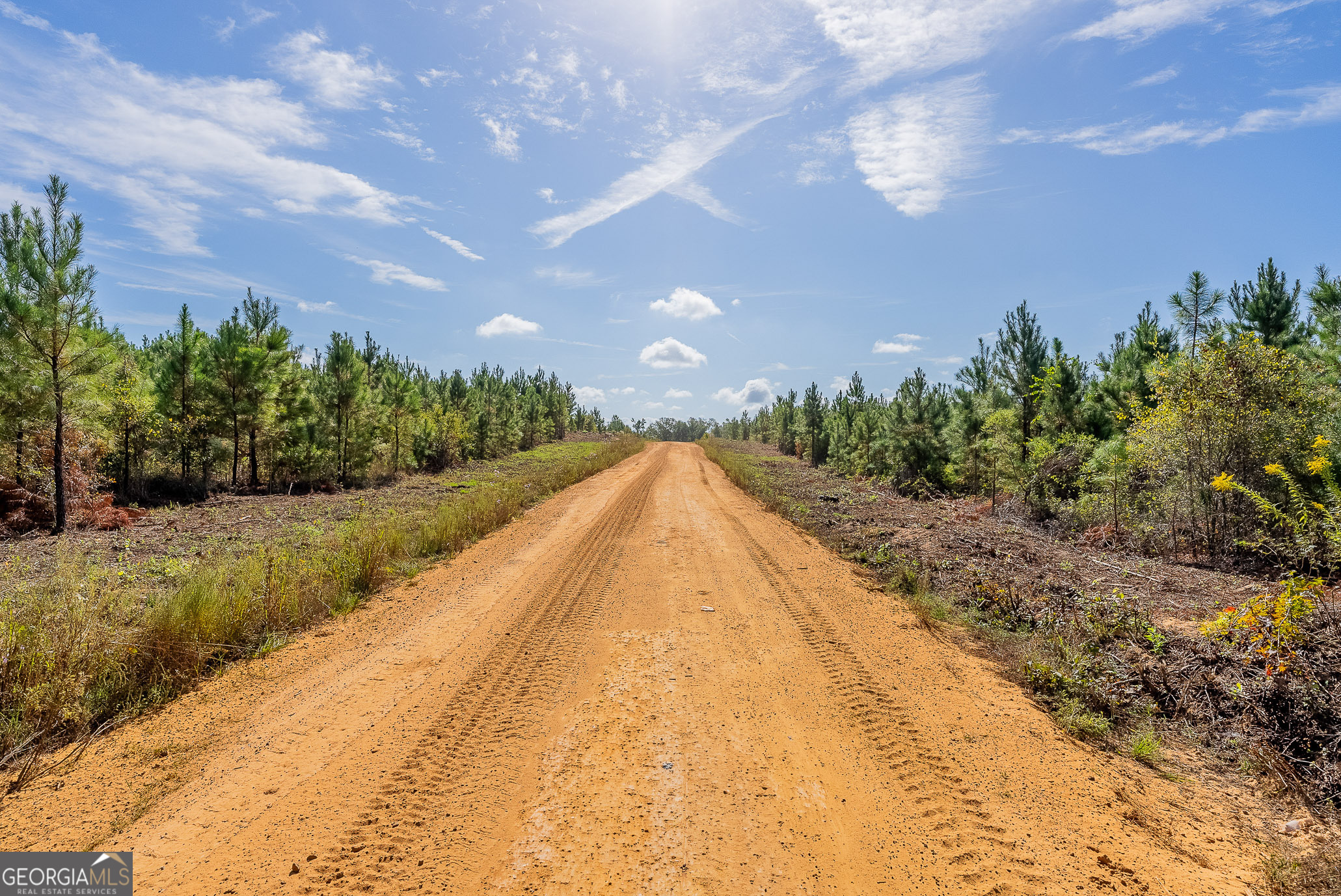 8 United Church Road Jacksonville, GA 31544 - Photo 14 of 17