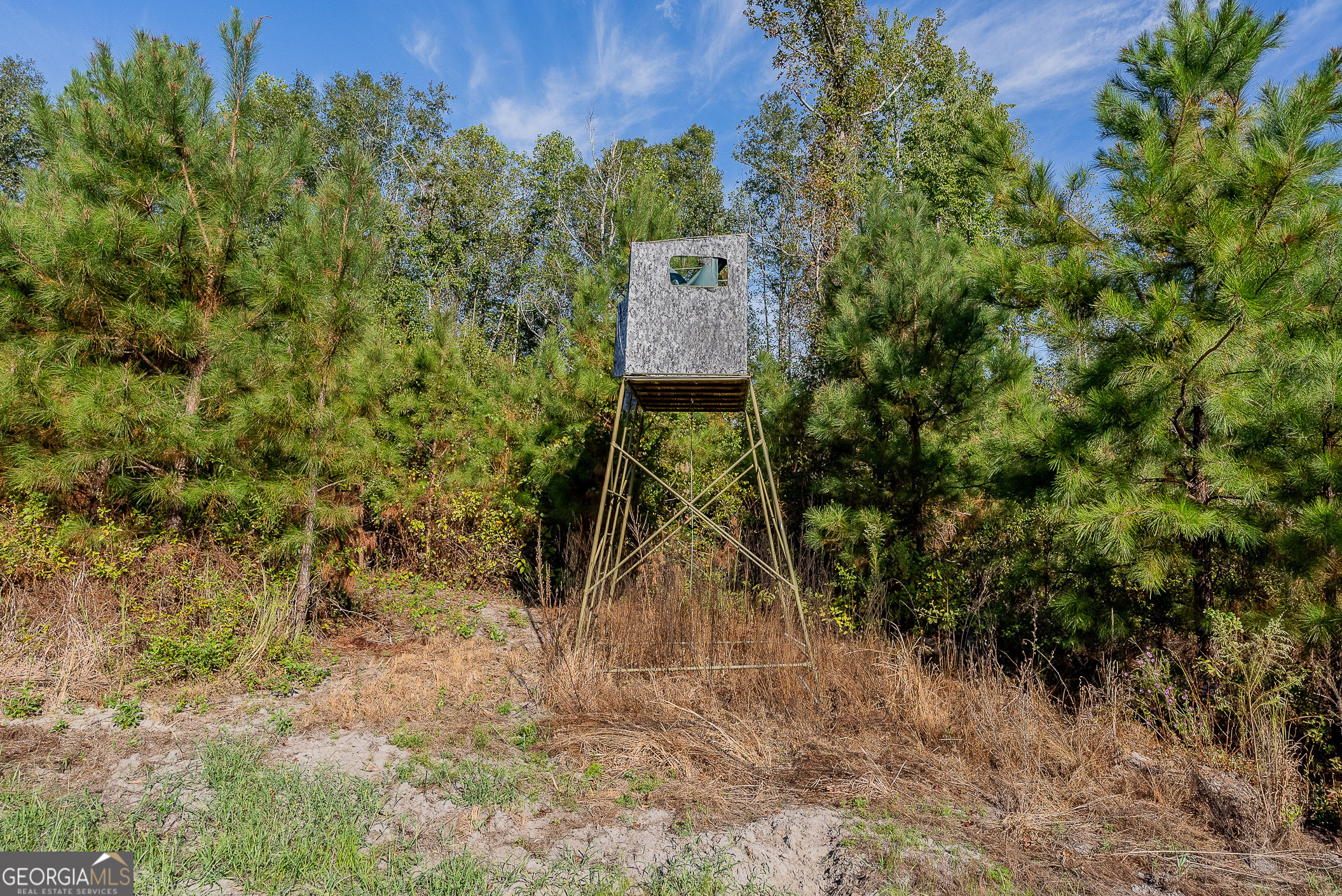 8 United Church Road Jacksonville, GA 31544 - Photo 15 of 17