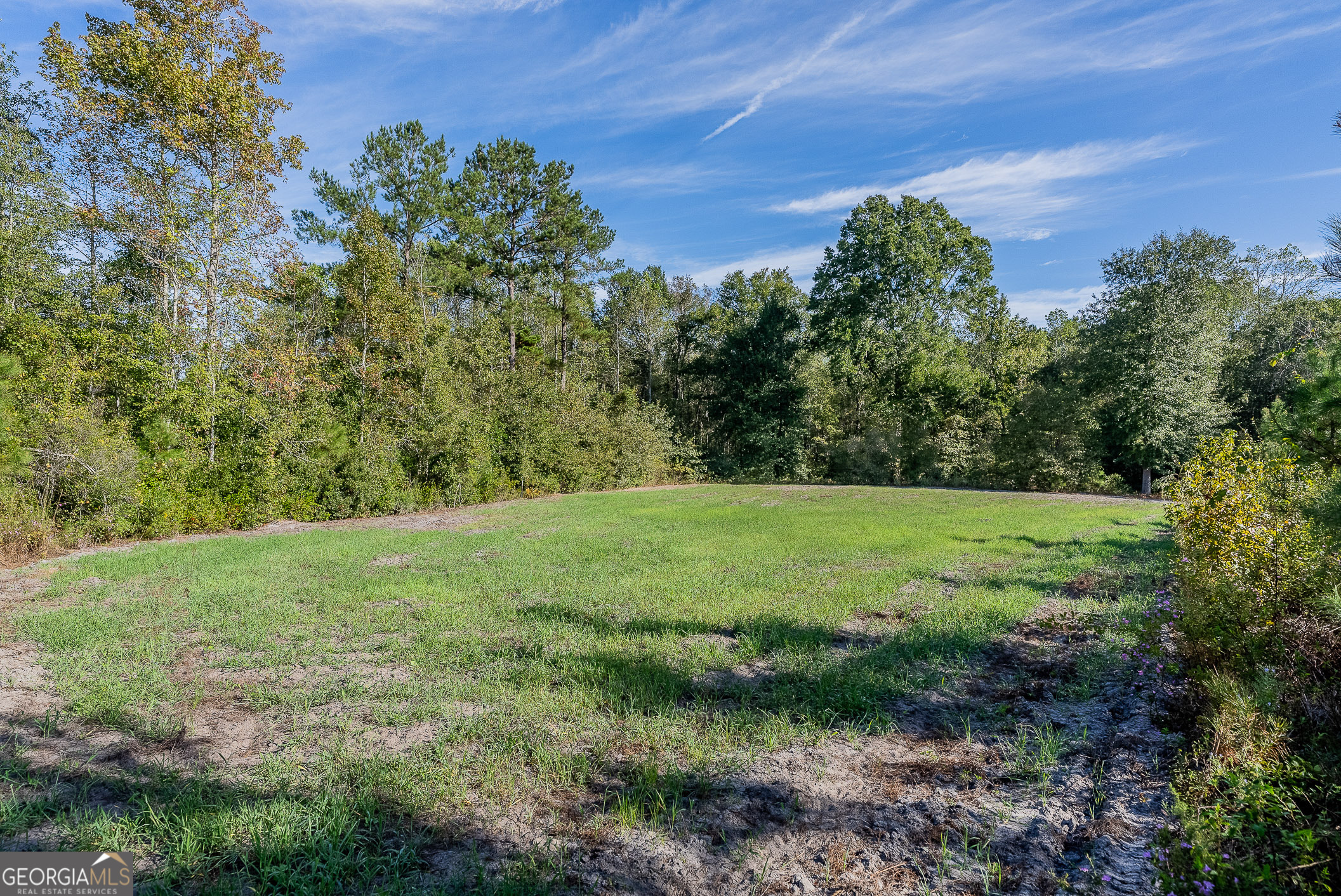 8 United Church Road Jacksonville, GA 31544 - Photo 17 of 17