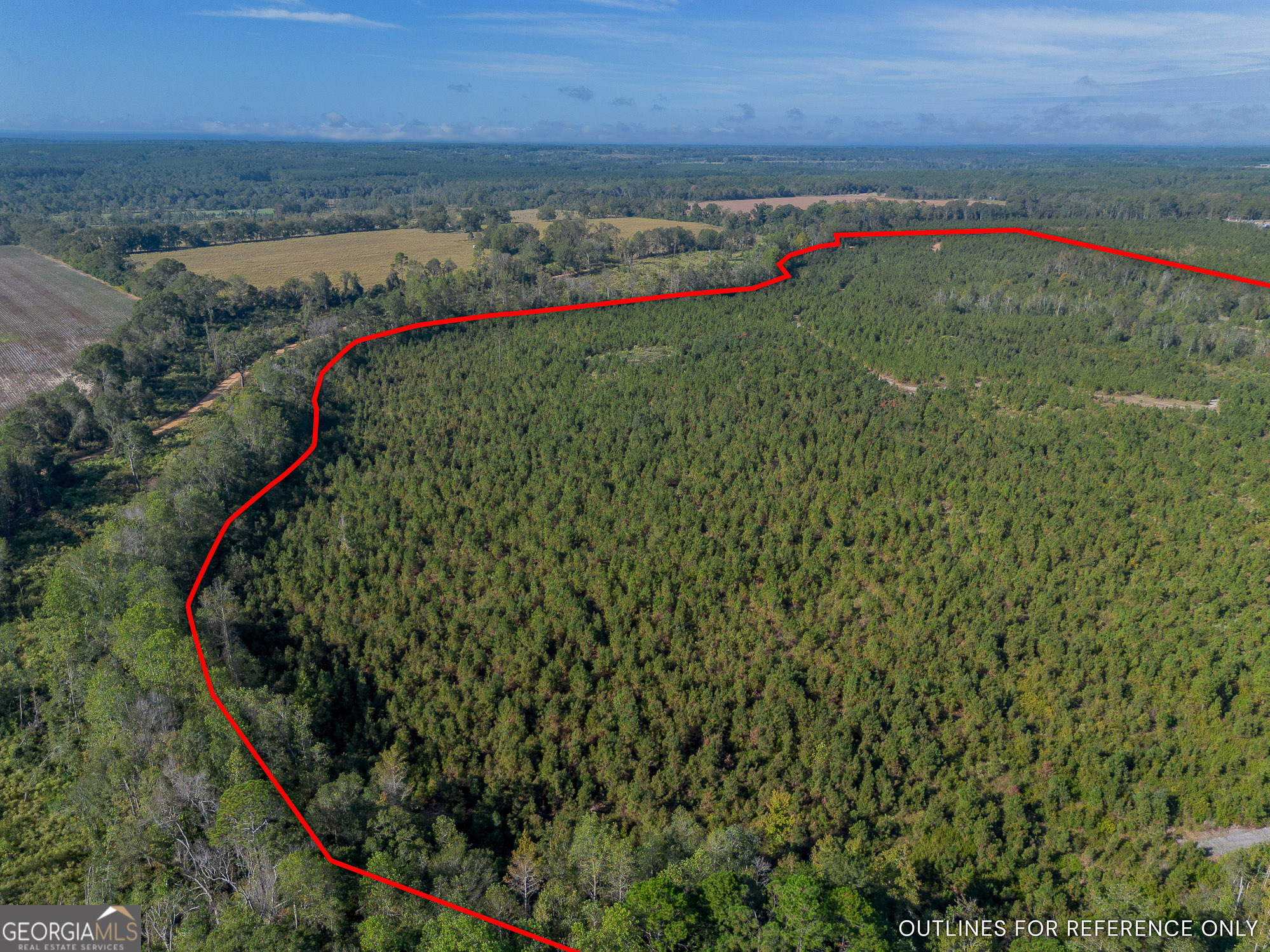 8 United Church Road Jacksonville, GA 31544 - Photo 2 of 17