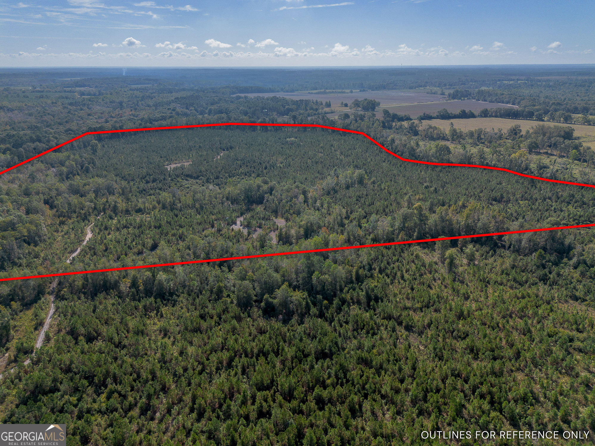 8 United Church Road Jacksonville, GA 31544 - Photo 3 of 17