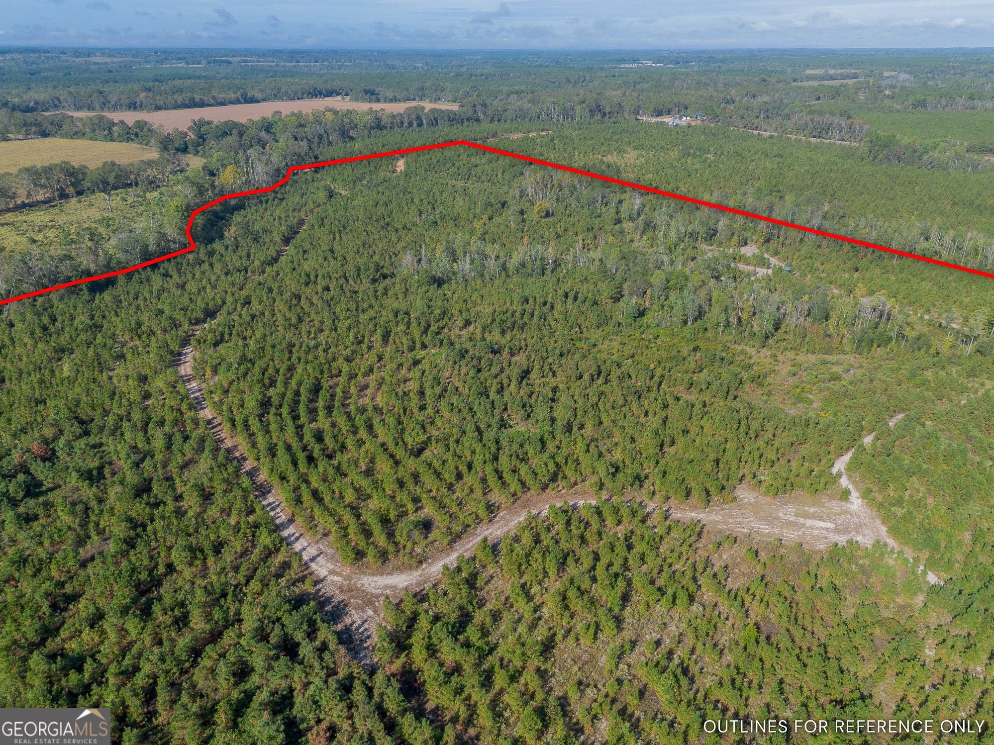 8 United Church Road Jacksonville, GA 31544 - Photo 5 of 17