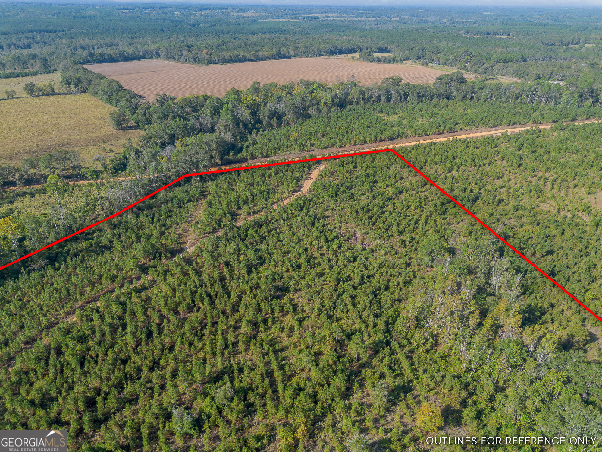 8 United Church Road Jacksonville, GA 31544 - Photo 8 of 17