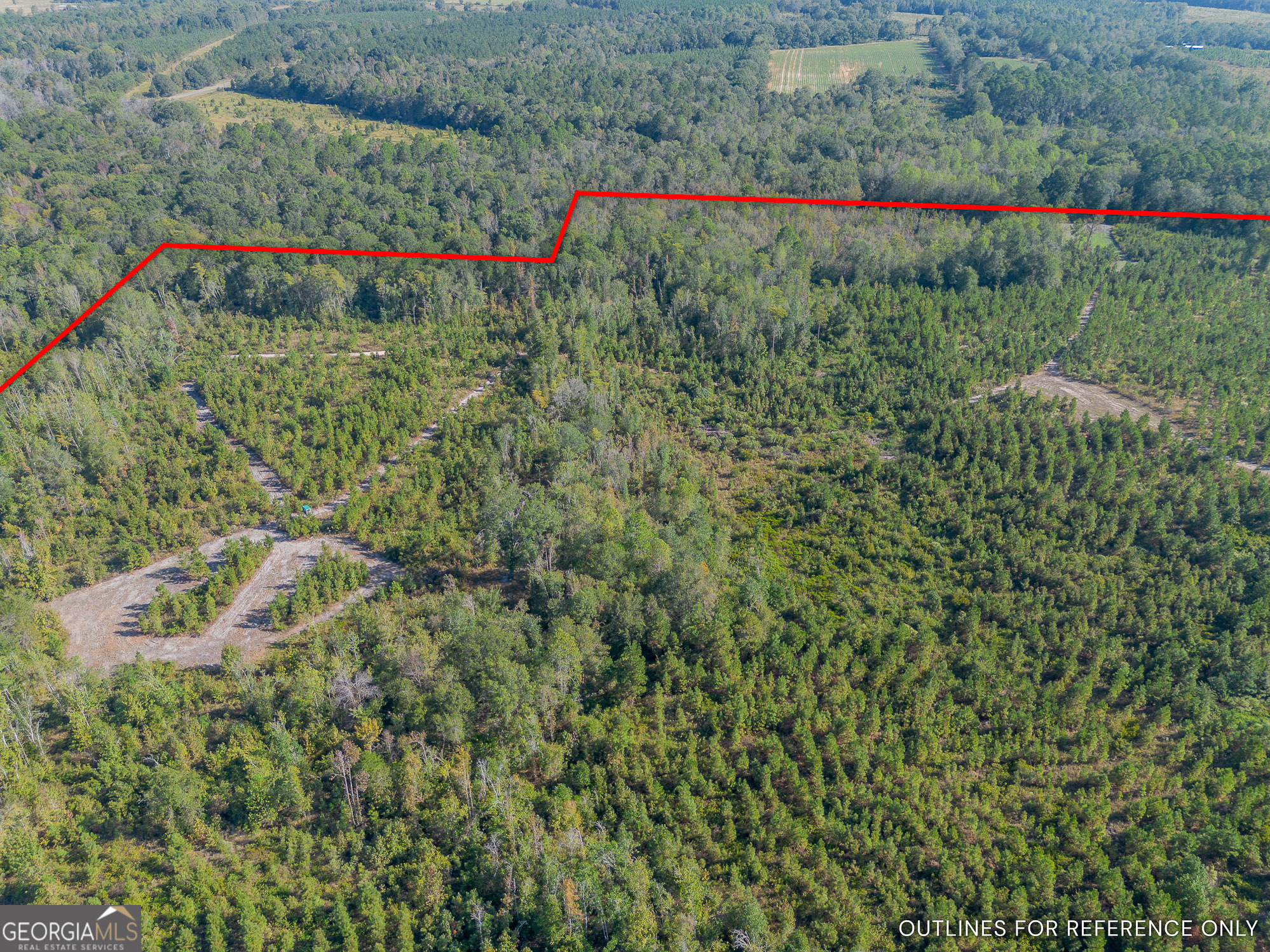 8 United Church Road Jacksonville, GA 31544 - Photo 9 of 17