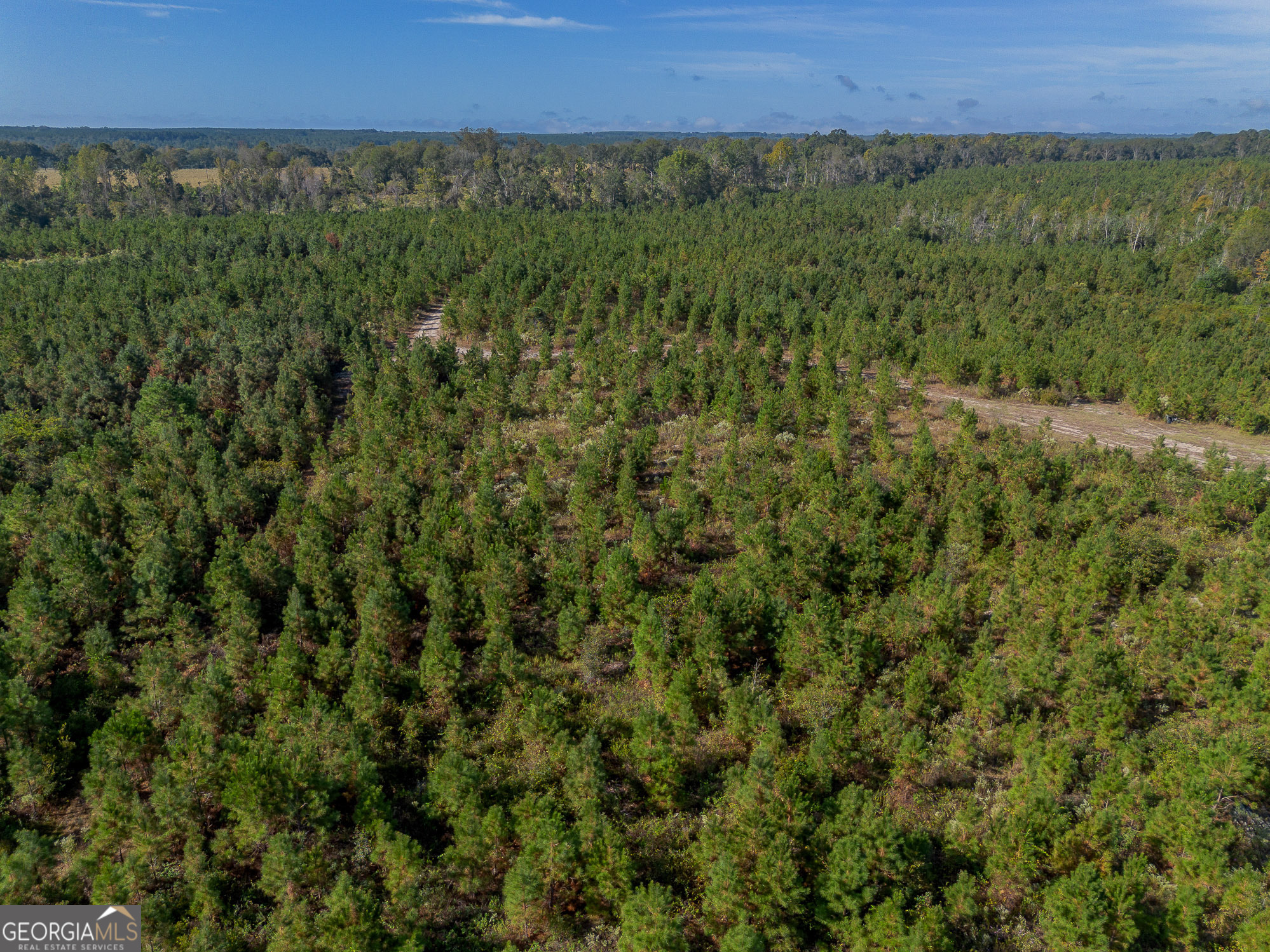 8 United Church Road Jacksonville, GA 31544 - Photo 10 of 17