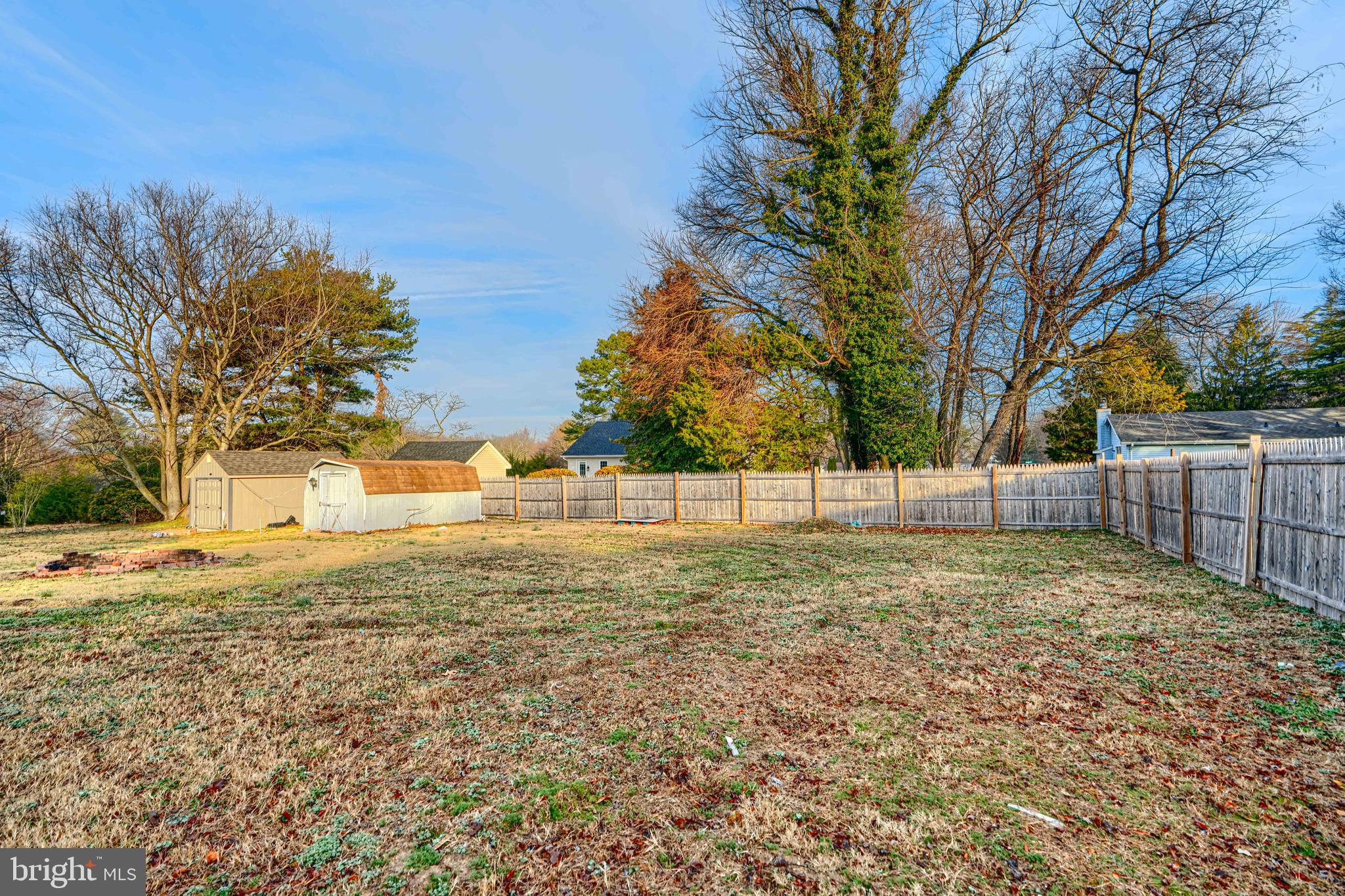 513 Round Top Road Chestertown, MD 21620 - Photo 17 of 18 a view of yard with tree