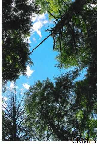 0 Kramer Road Middleburgh, NY 12122 - Photo 10 of 12 Photo 10