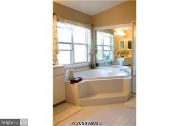 21364 Sawyer Square Ashburn, VA 20147 - Photo 11 of 17 Bath (Master)