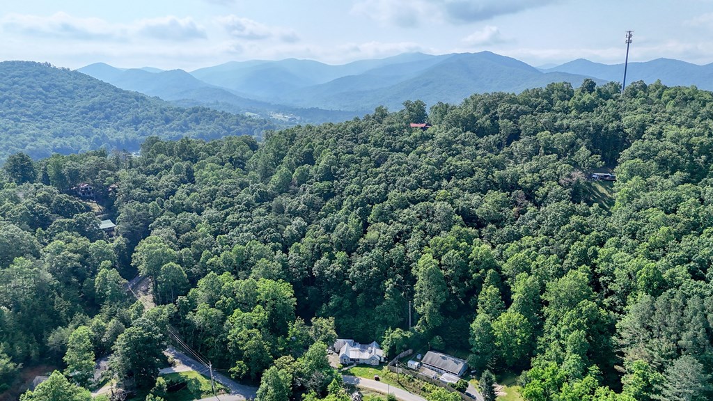 2152 Bugscuffle Spur Hiawassee, GA 30546 - Photo 11 of 41