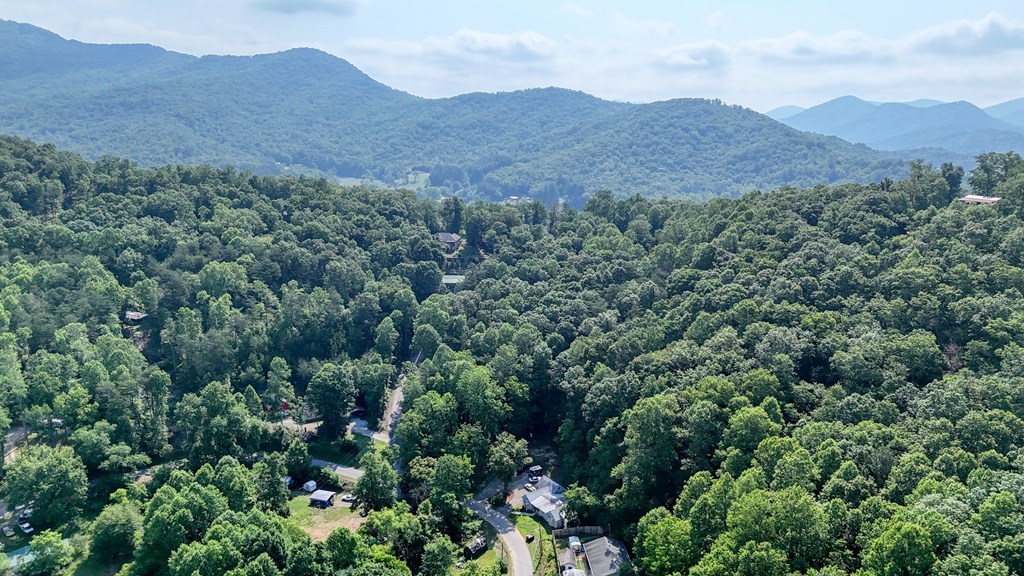 2152 Bugscuffle Spur Hiawassee, GA 30546 - Photo 12 of 41