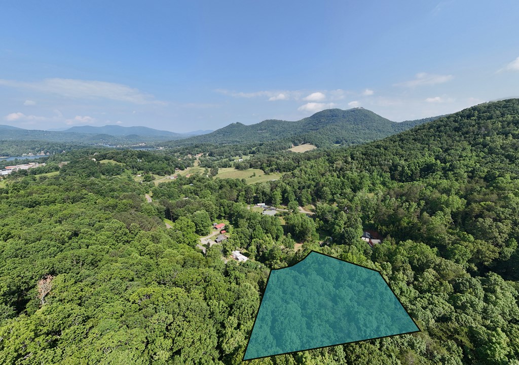 2152 Bugscuffle Spur Hiawassee, GA 30546 - Photo 7 of 41
