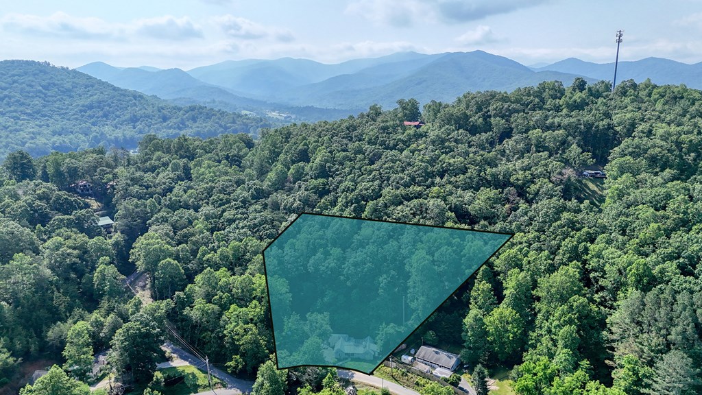 2152 Bugscuffle Spur Hiawassee, GA 30546 - Photo 10 of 41