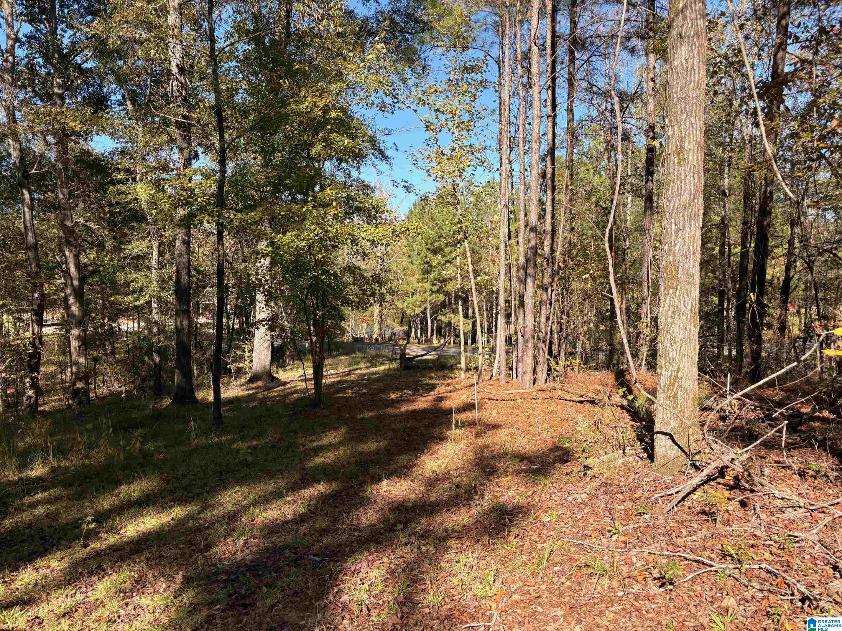 4540 Cabin Road, Unit 4 AND 6 Bessemer, AL 35022 - Photo 2 of 13