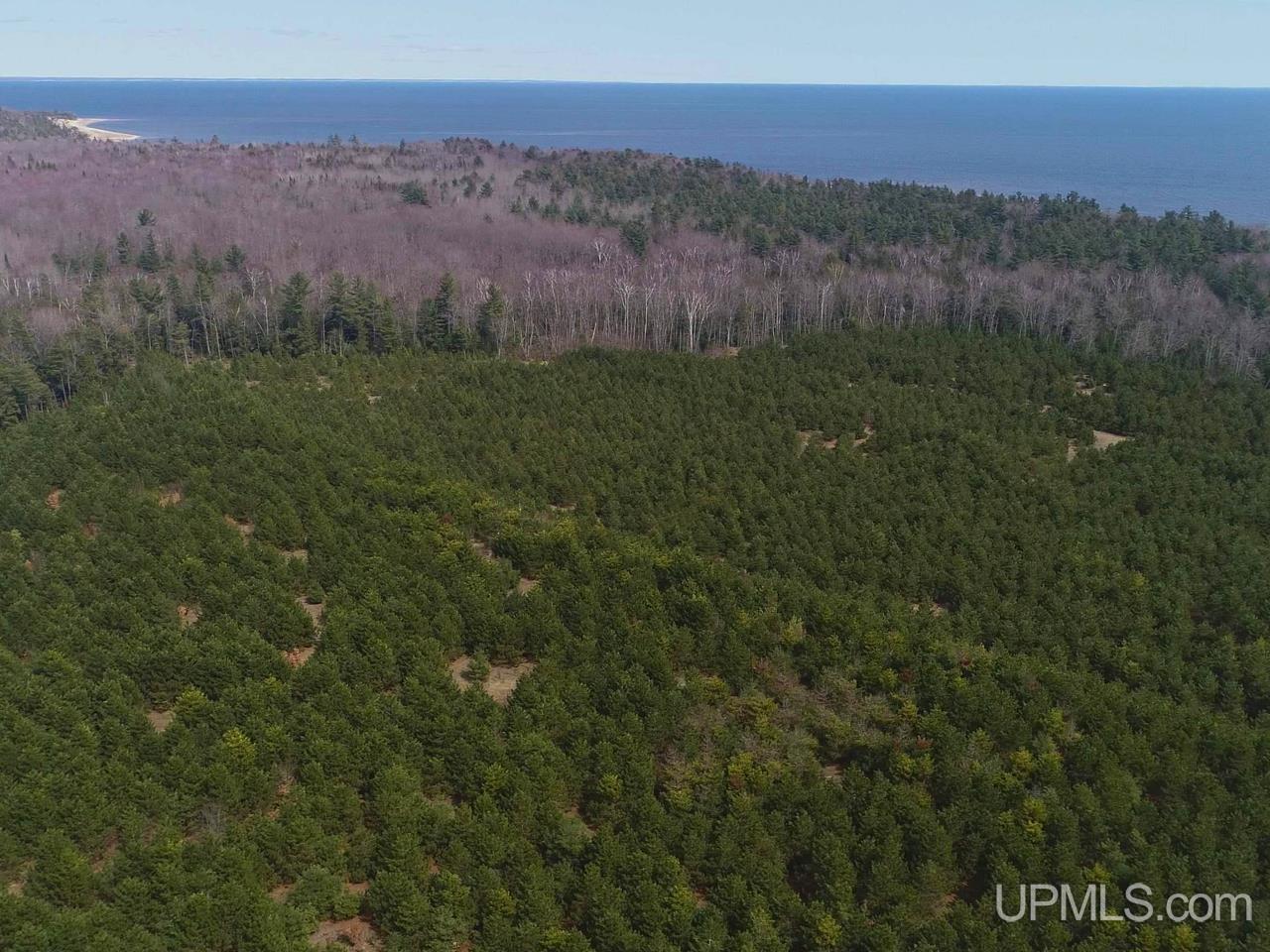 40-acres Gierke Road Manistique, MI 49854 - Photo 22 of 39