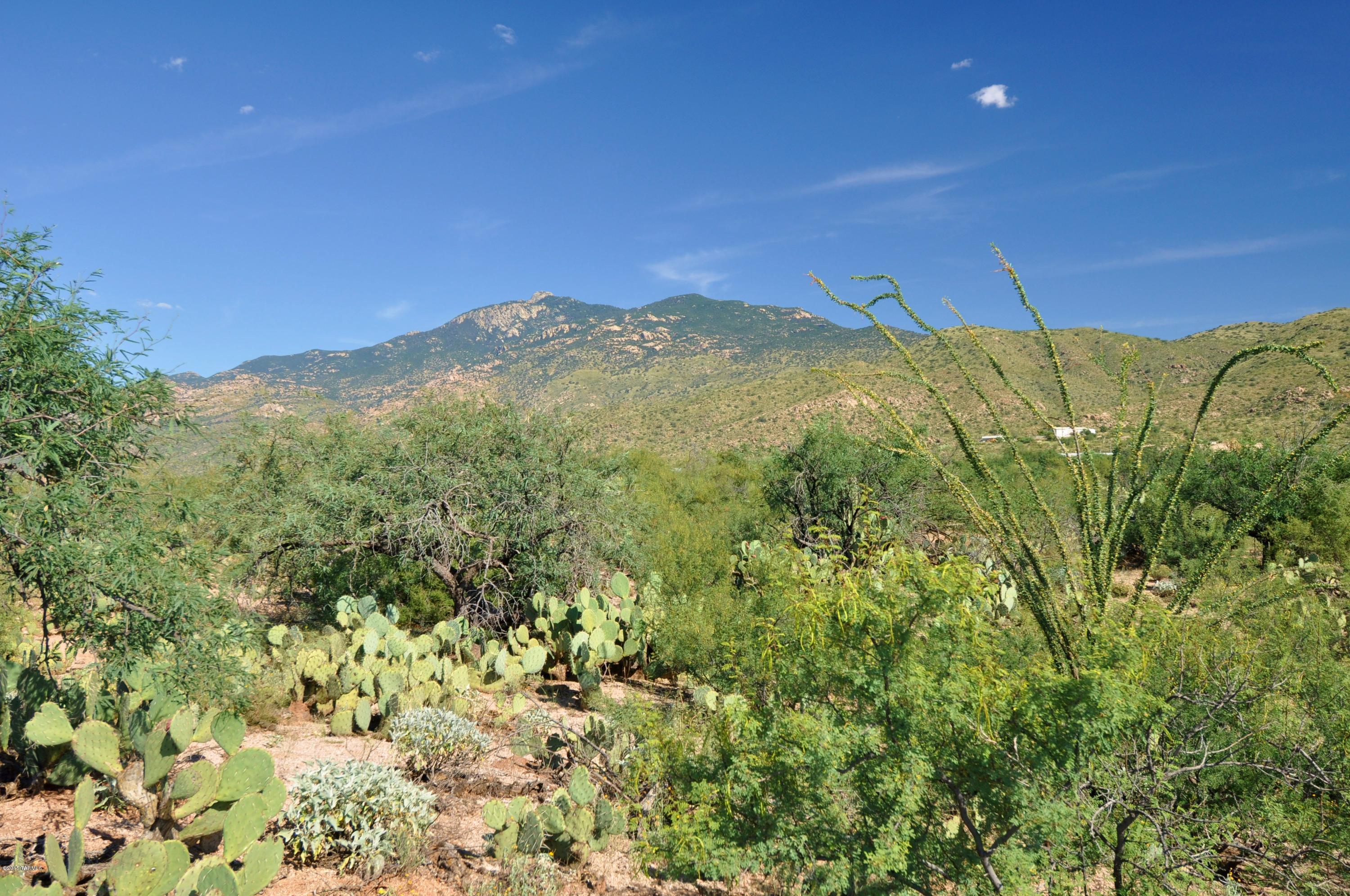 7542 South Pistol Hill Road Vail, AZ 85641 - Photo 2 of 16