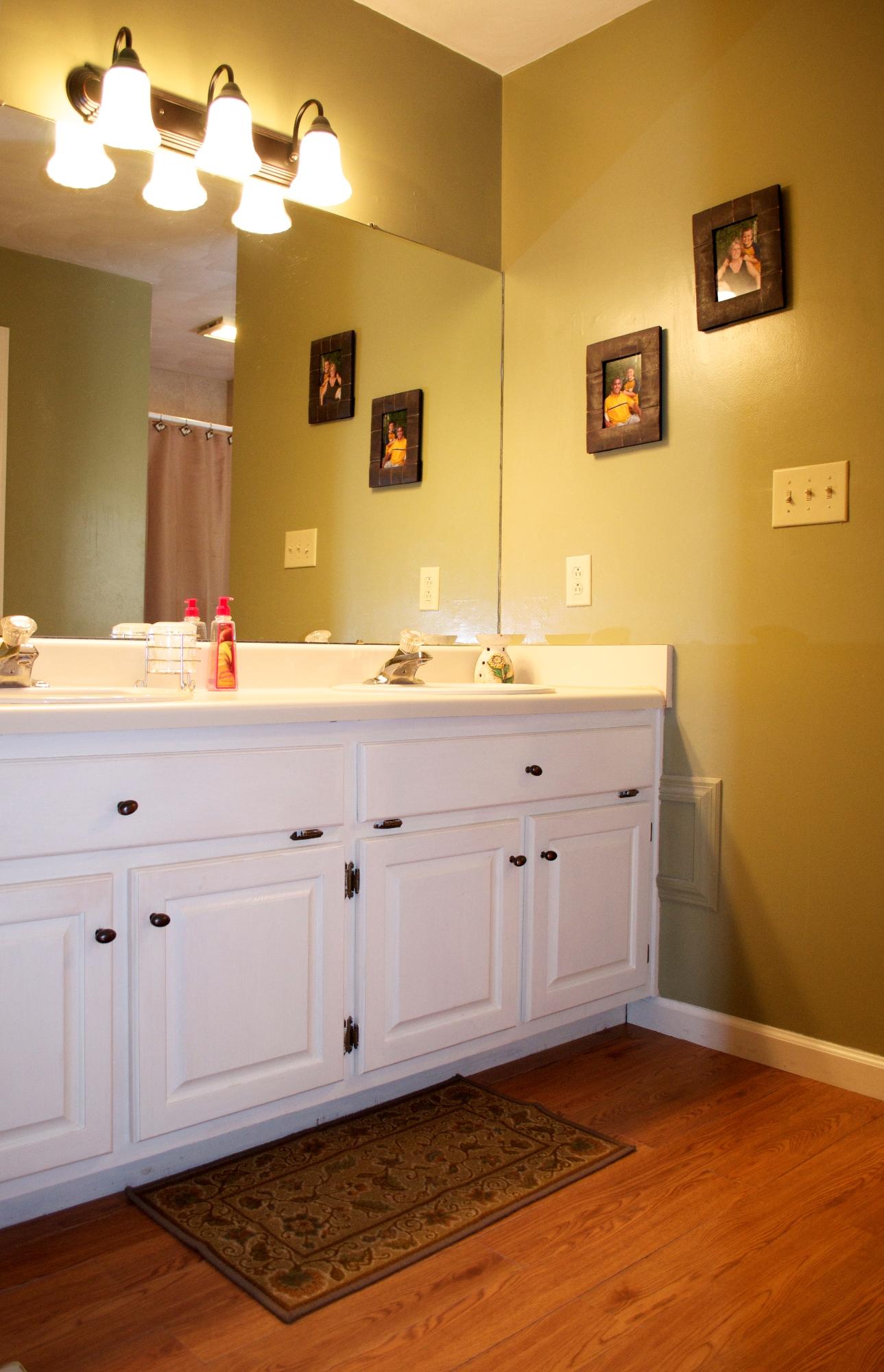 548 Scalybark Drive Blue Ridge, VA 24064 - Photo 22 of 45 Master Bathroom