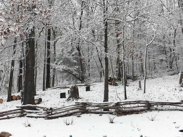 260 Deer Ridge Trail Ocoee, TN 37361 - Photo 66 of 72 a view of a house with snow on the road