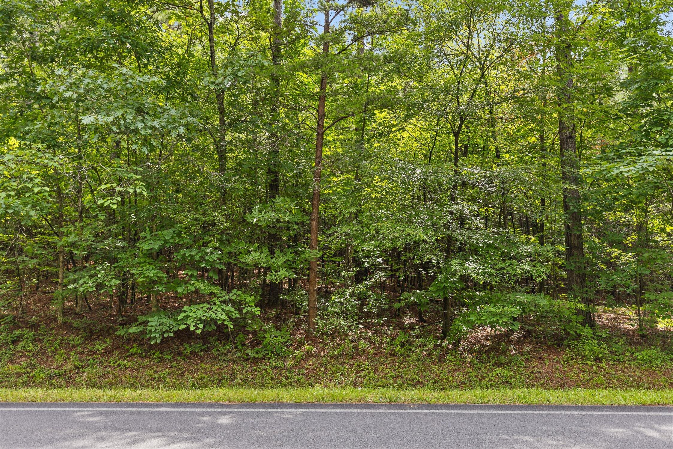 Tract 4 B-2 Conniston Road Chatsworth, GA 30705 - Photo 2 of 16 08-Track 4a-2