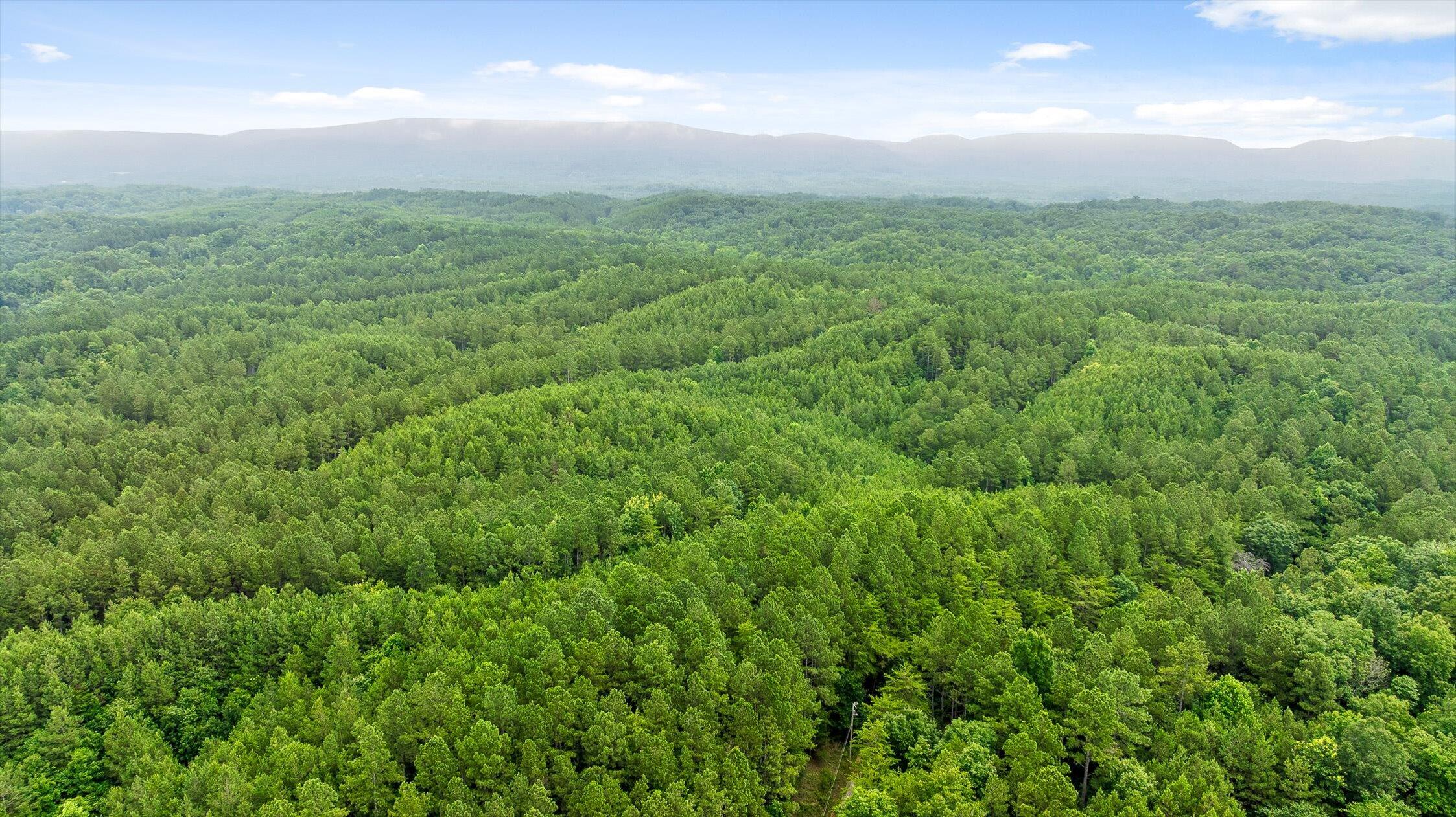 Tract 4 B-2 Conniston Road Chatsworth, GA 30705 - Photo 4 of 16 03-Track 3-16