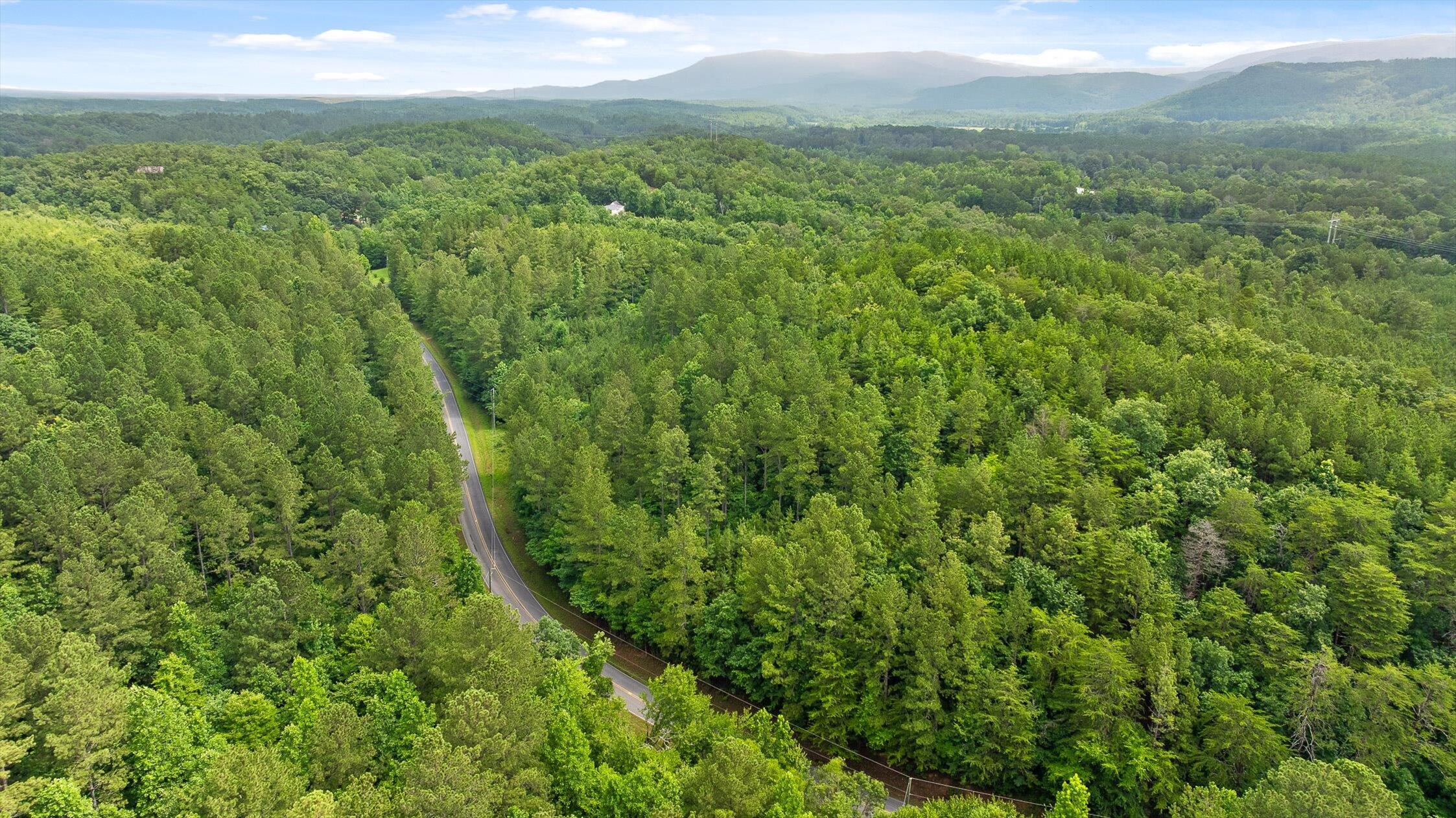 Tract 4 B-2 Conniston Road Chatsworth, GA 30705 - Photo 9 of 16 09-Track 4a-5
