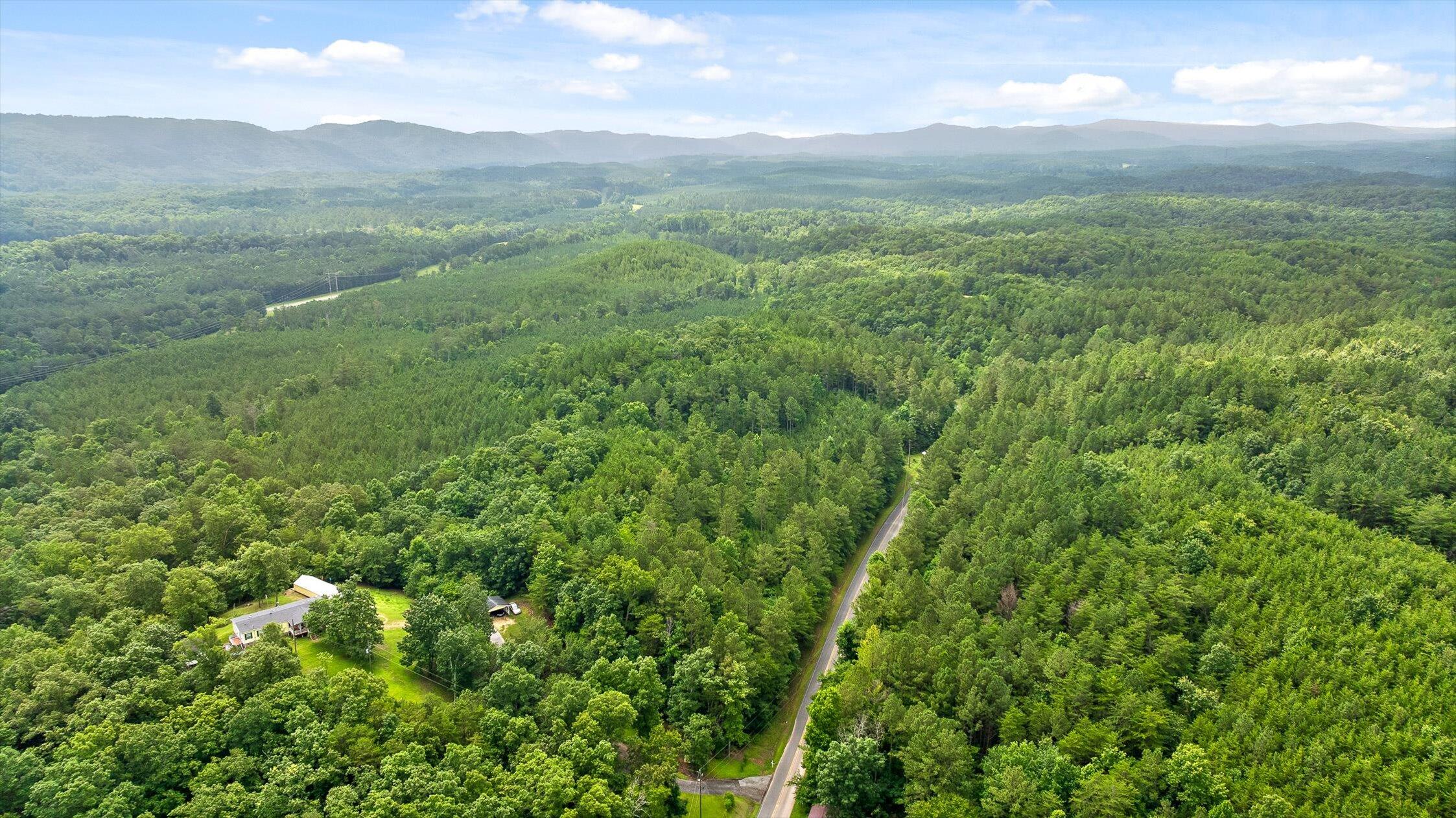 Tract 4 B-2 Conniston Road Chatsworth, GA 30705 - Photo 10 of 16 10-Track 4a-12