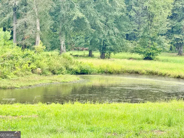 a view of a lake from a yard