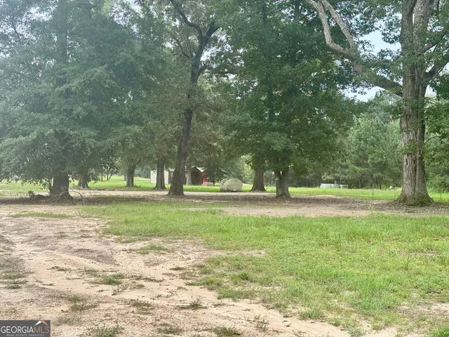 a view of backyard with green space and plants