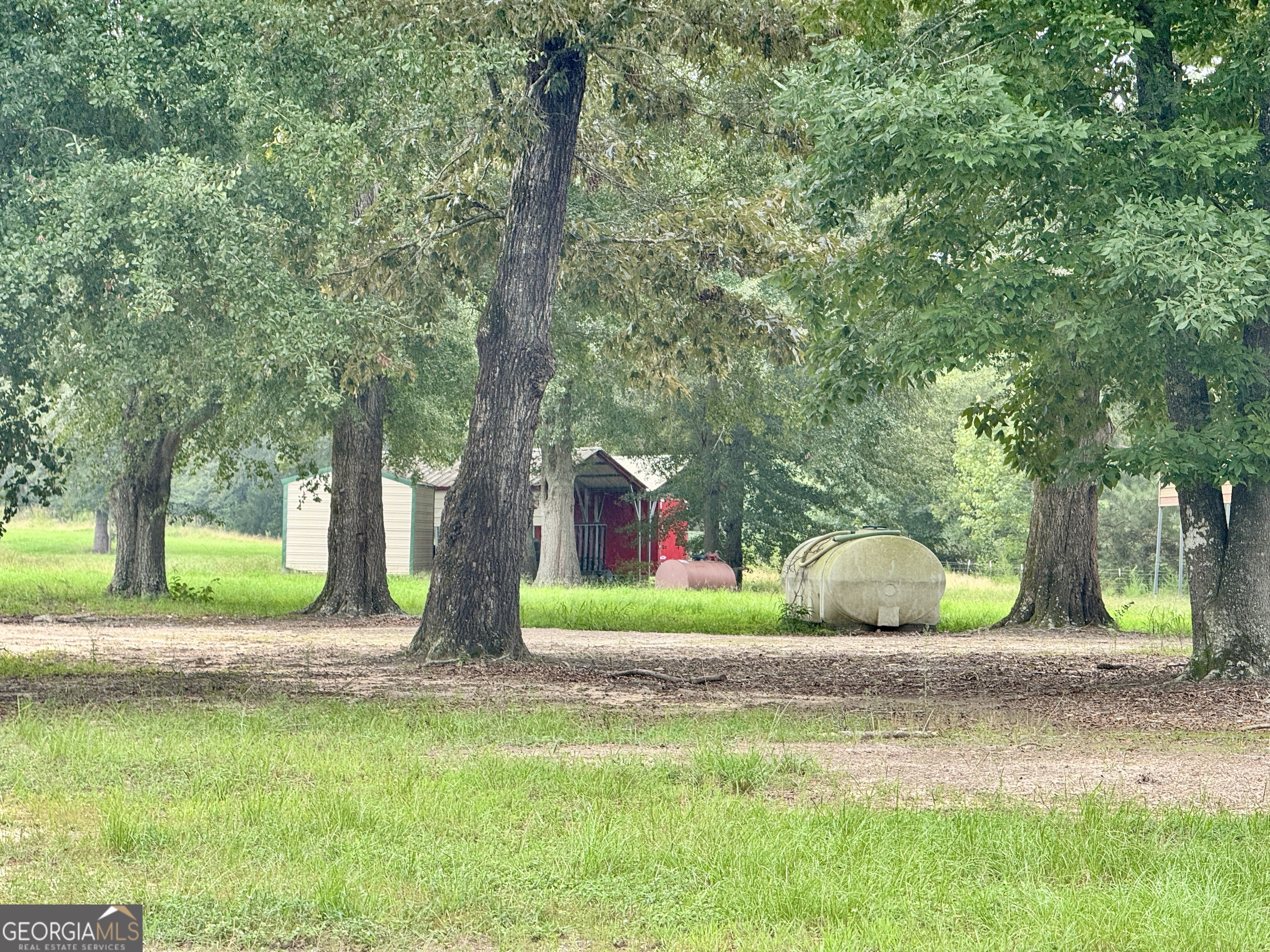 345 Cool Water Road Vienna, GA 31092 - Photo 23 of 41 a view of backyard with green space and plants