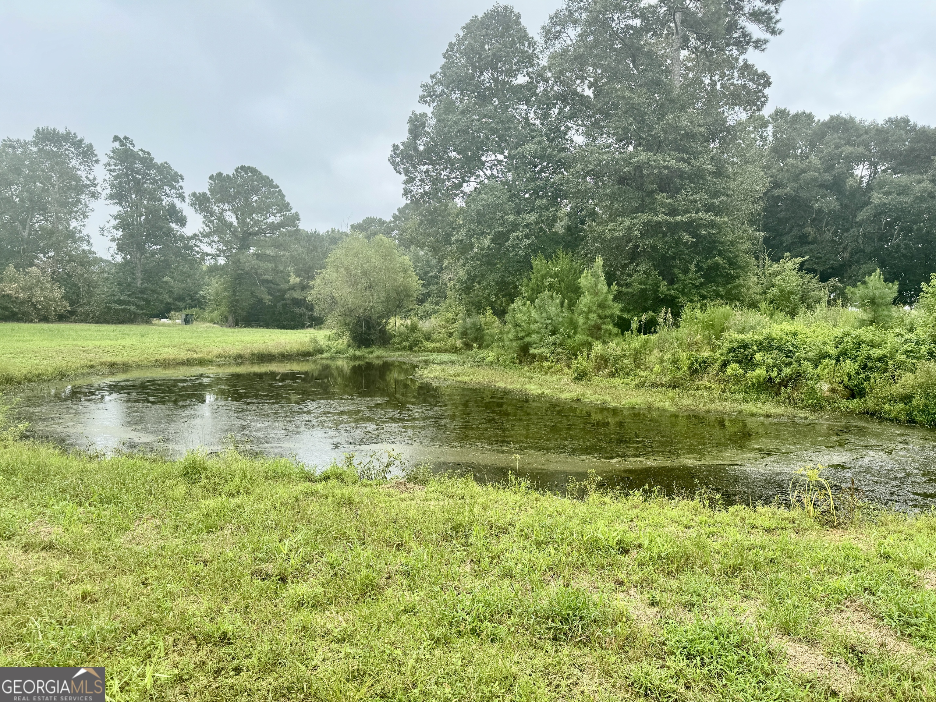 345 Cool Water Road Vienna, GA 31092 - Photo 26 of 41 a view of a green field with trees in the background