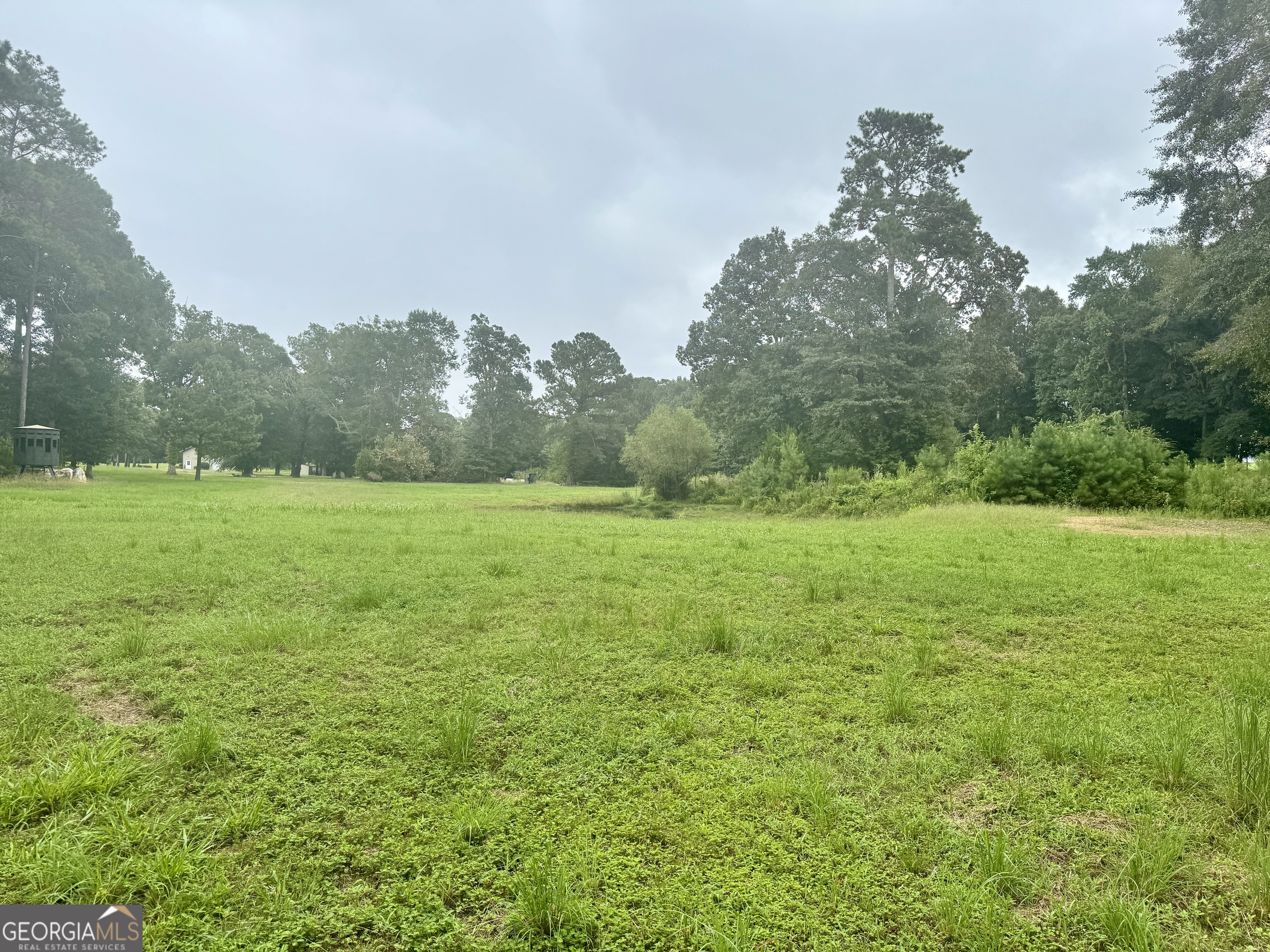 345 Cool Water Road Vienna, GA 31092 - Photo 27 of 41 a backyard of a house with lots of green space