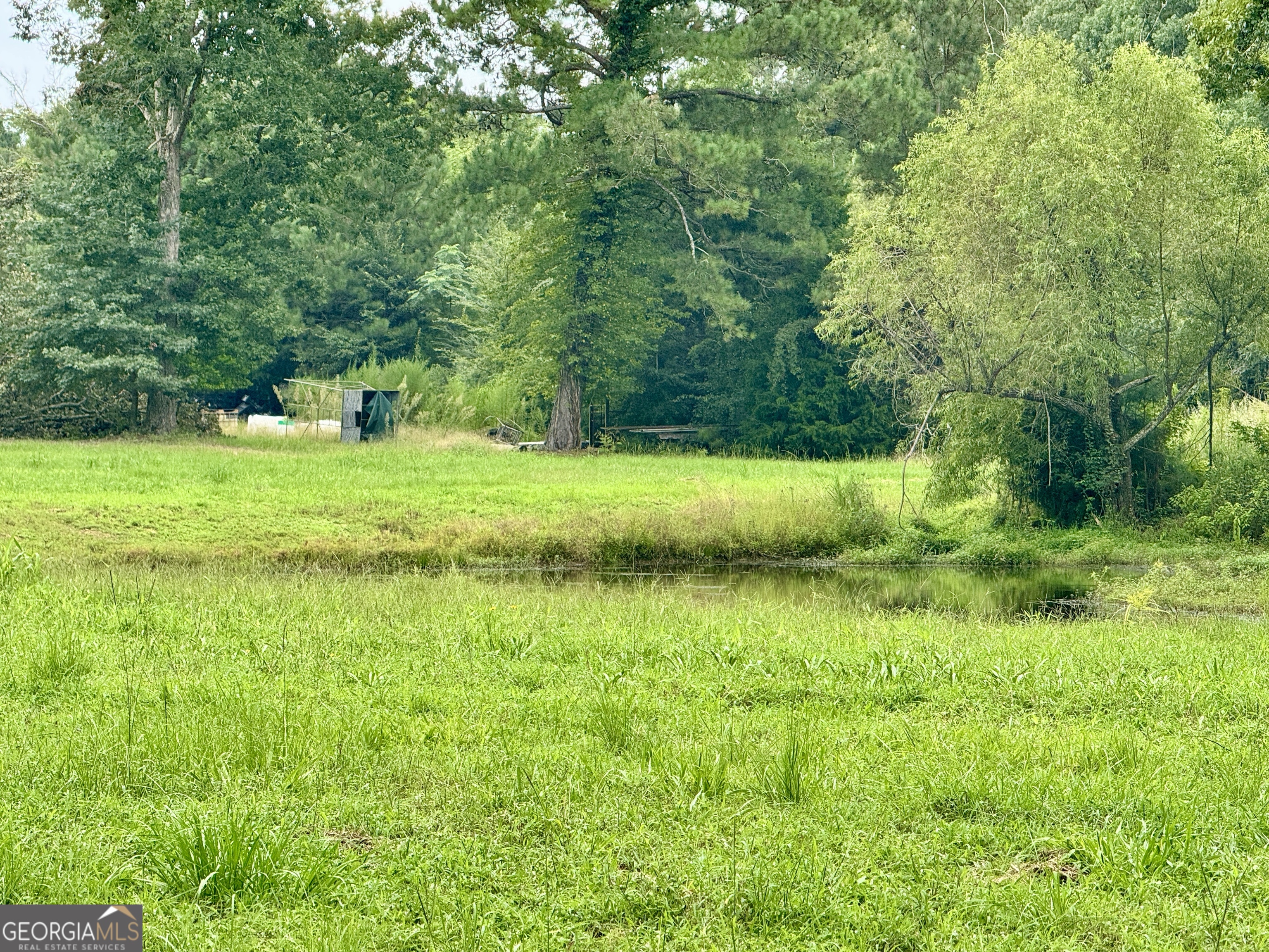 345 Cool Water Road Vienna, GA 31092 - Photo 28 of 41 a fire hydrant in the middle of a field