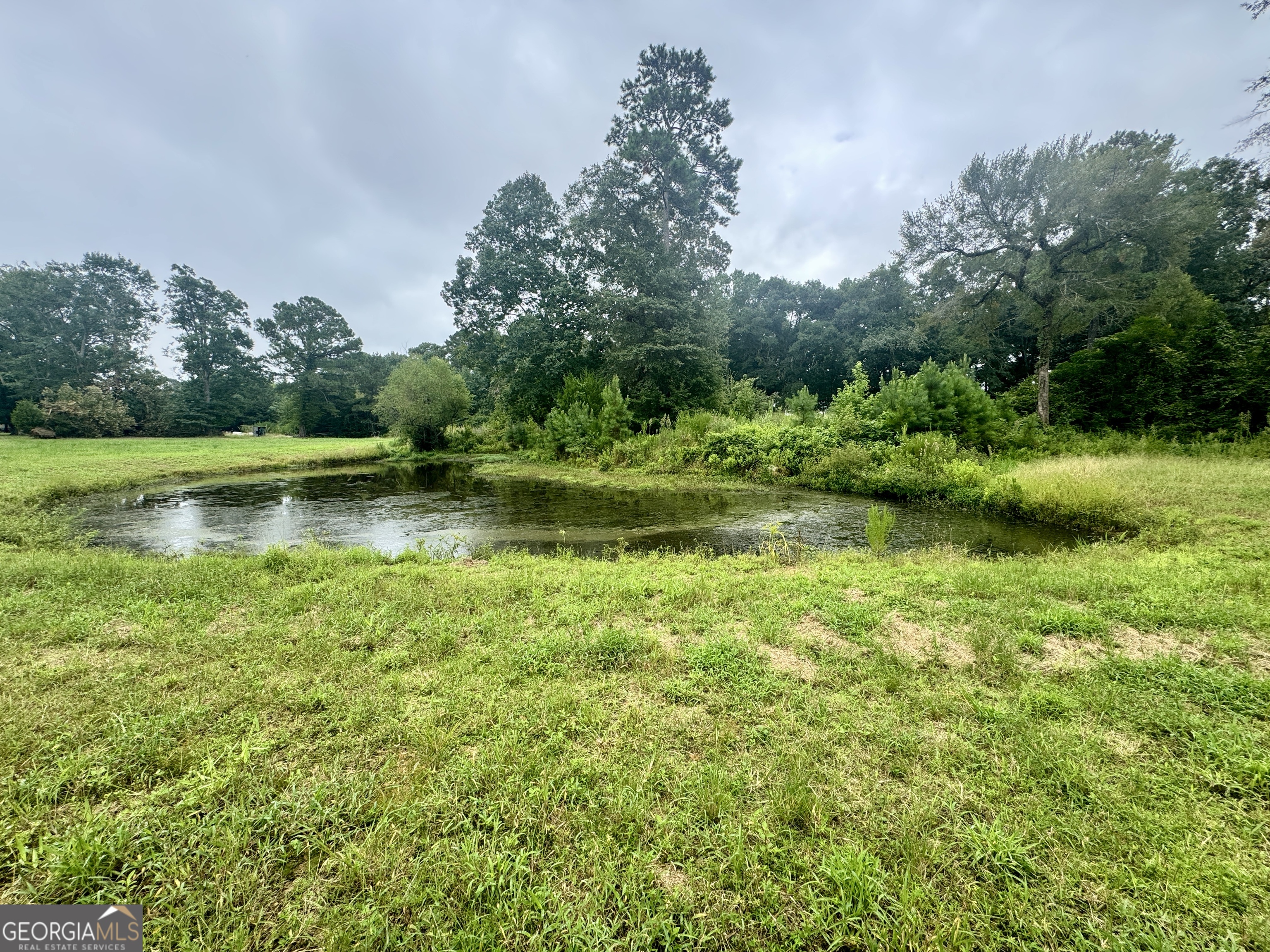 345 Cool Water Road Vienna, GA 31092 - Photo 30 of 41 a view of a garden with a lake view