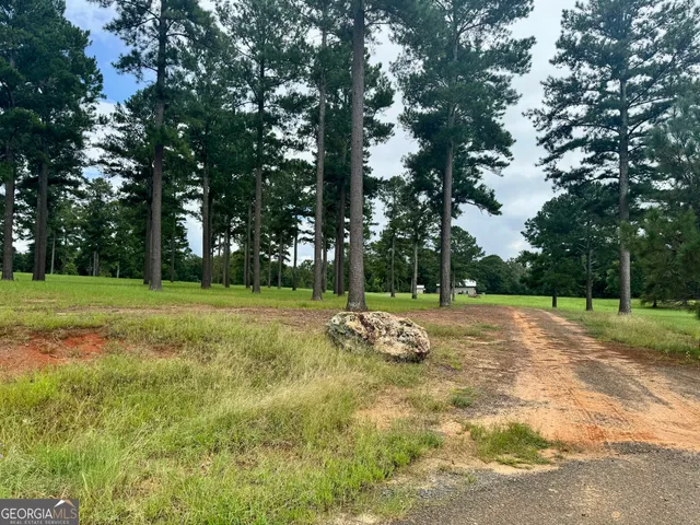 a view of a park with large trees