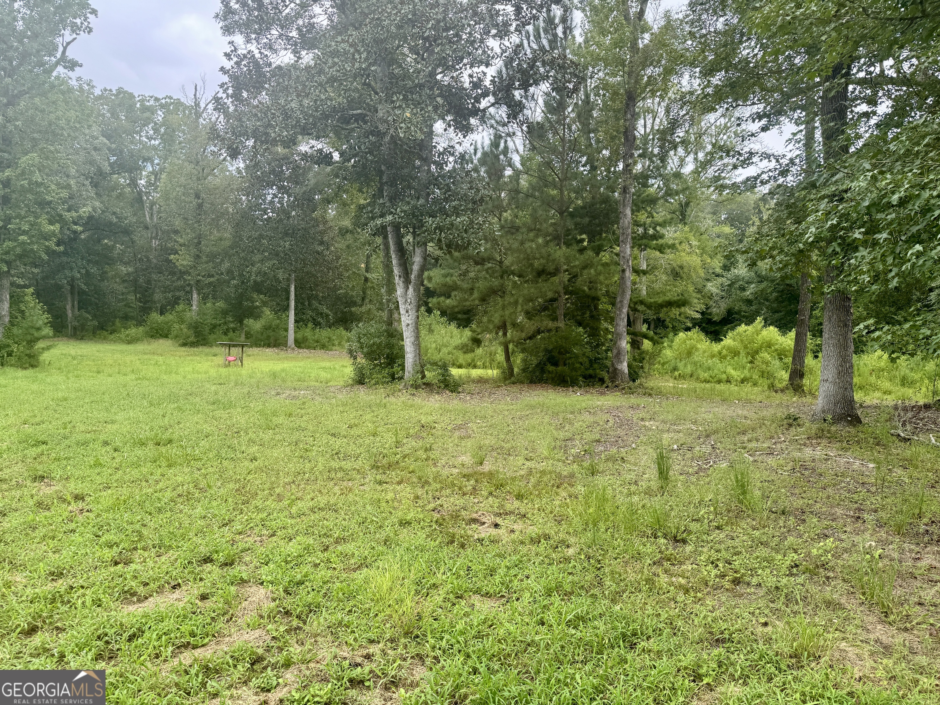 345 Cool Water Road Vienna, GA 31092 - Photo 31 of 41 a view of outdoor space with deck and yard