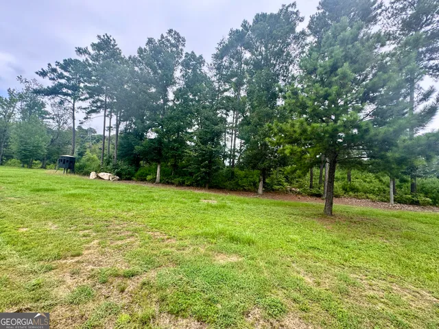 a view of a lush green forest