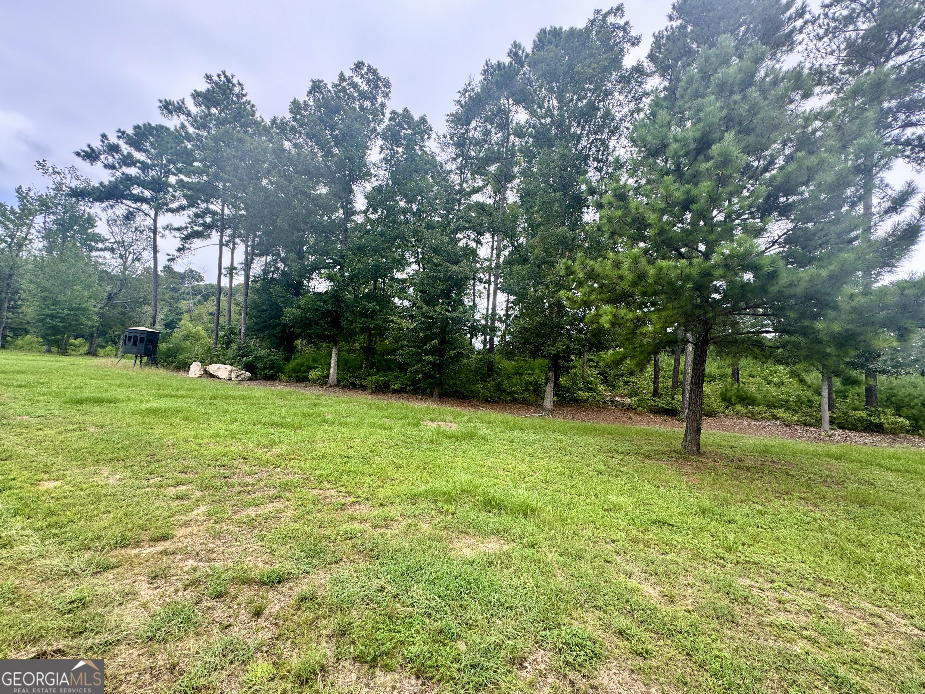 345 Cool Water Road Vienna, GA 31092 - Photo 32 of 41 a grassy field with some trees in the background