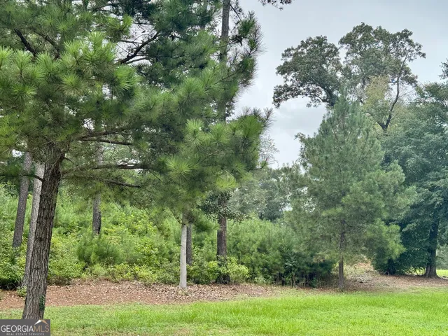 a view of a golf course