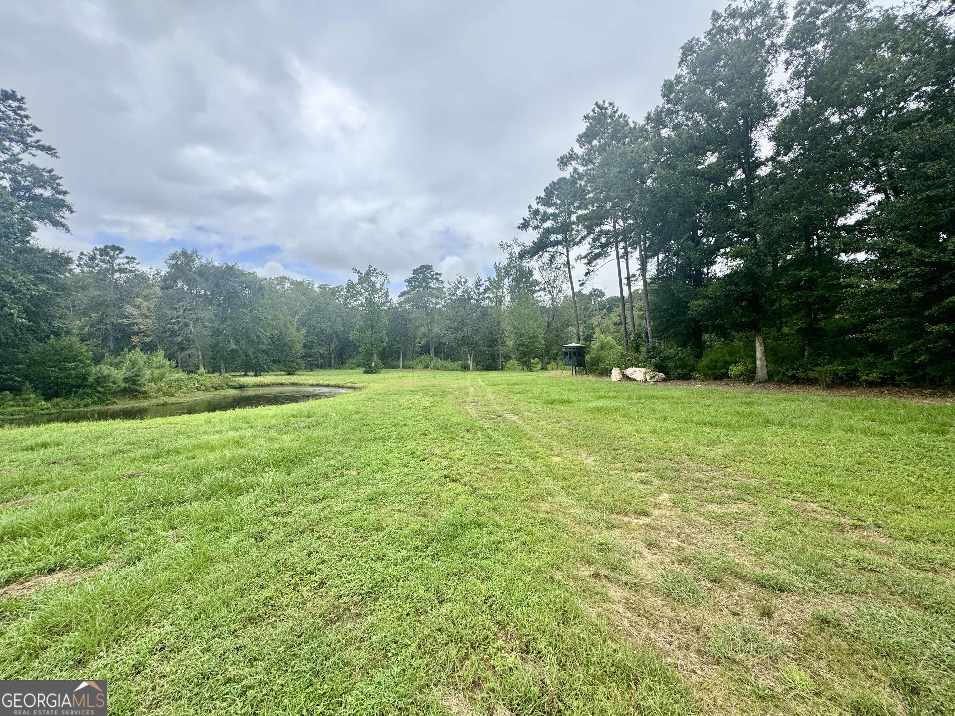 345 Cool Water Road Vienna, GA 31092 - Photo 36 of 41 a view of a green field with wooden fence