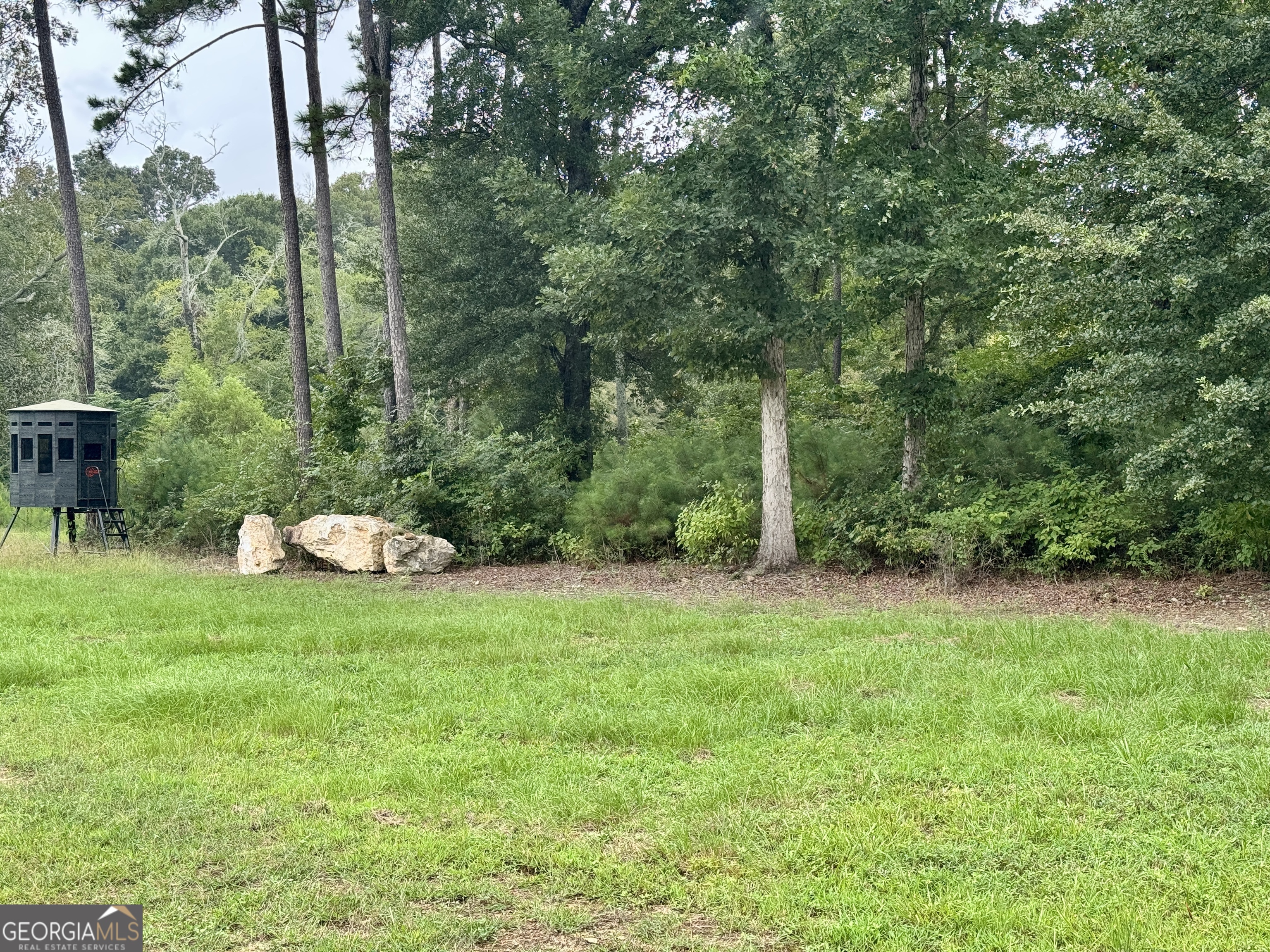 345 Cool Water Road Vienna, GA 31092 - Photo 37 of 41 a view of a garden with a slide