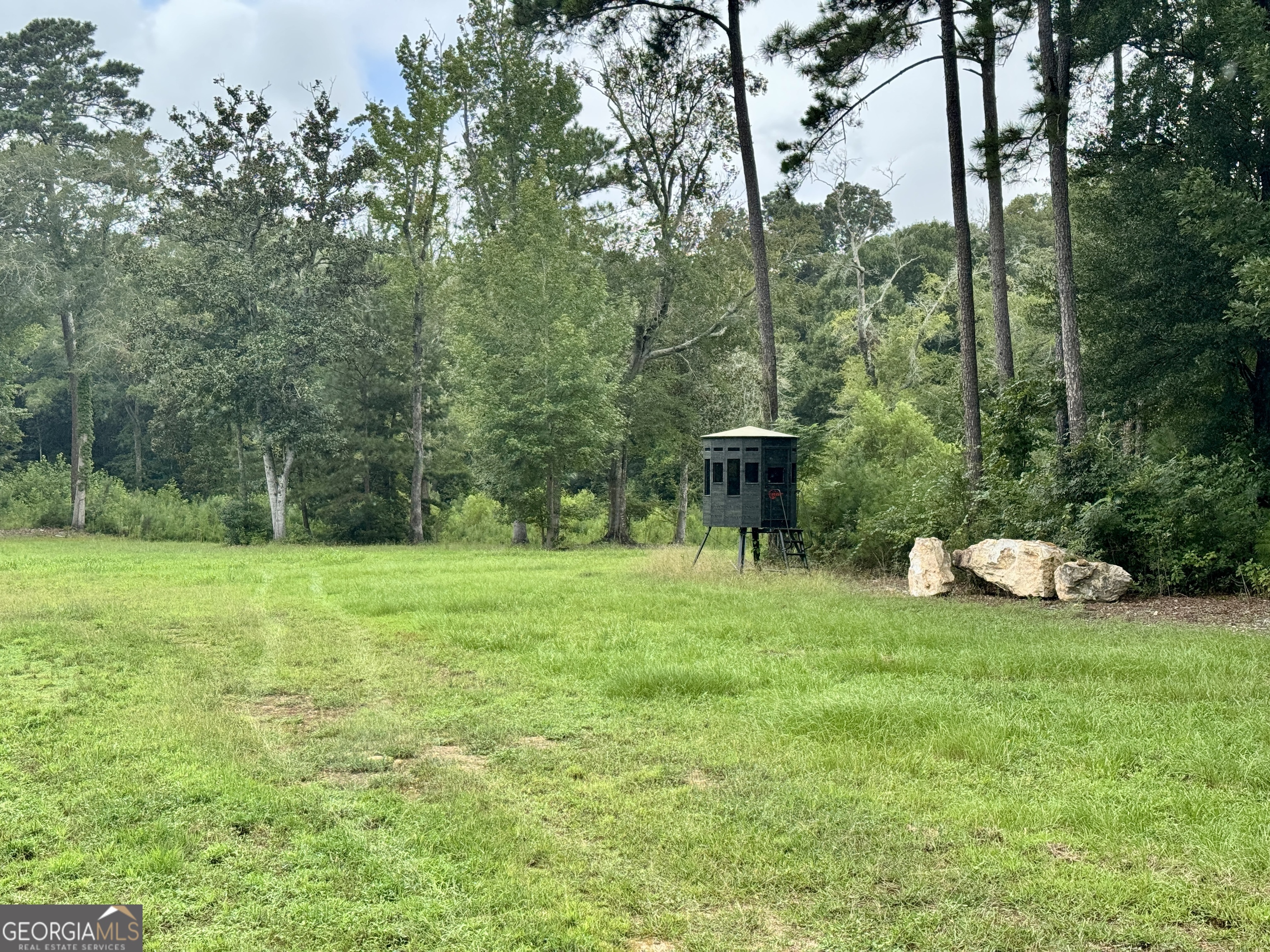 345 Cool Water Road Vienna, GA 31092 - Photo 38 of 41 a view of a garden with a bench