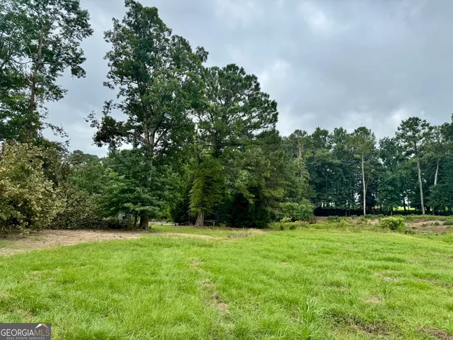 a view of a lush green space