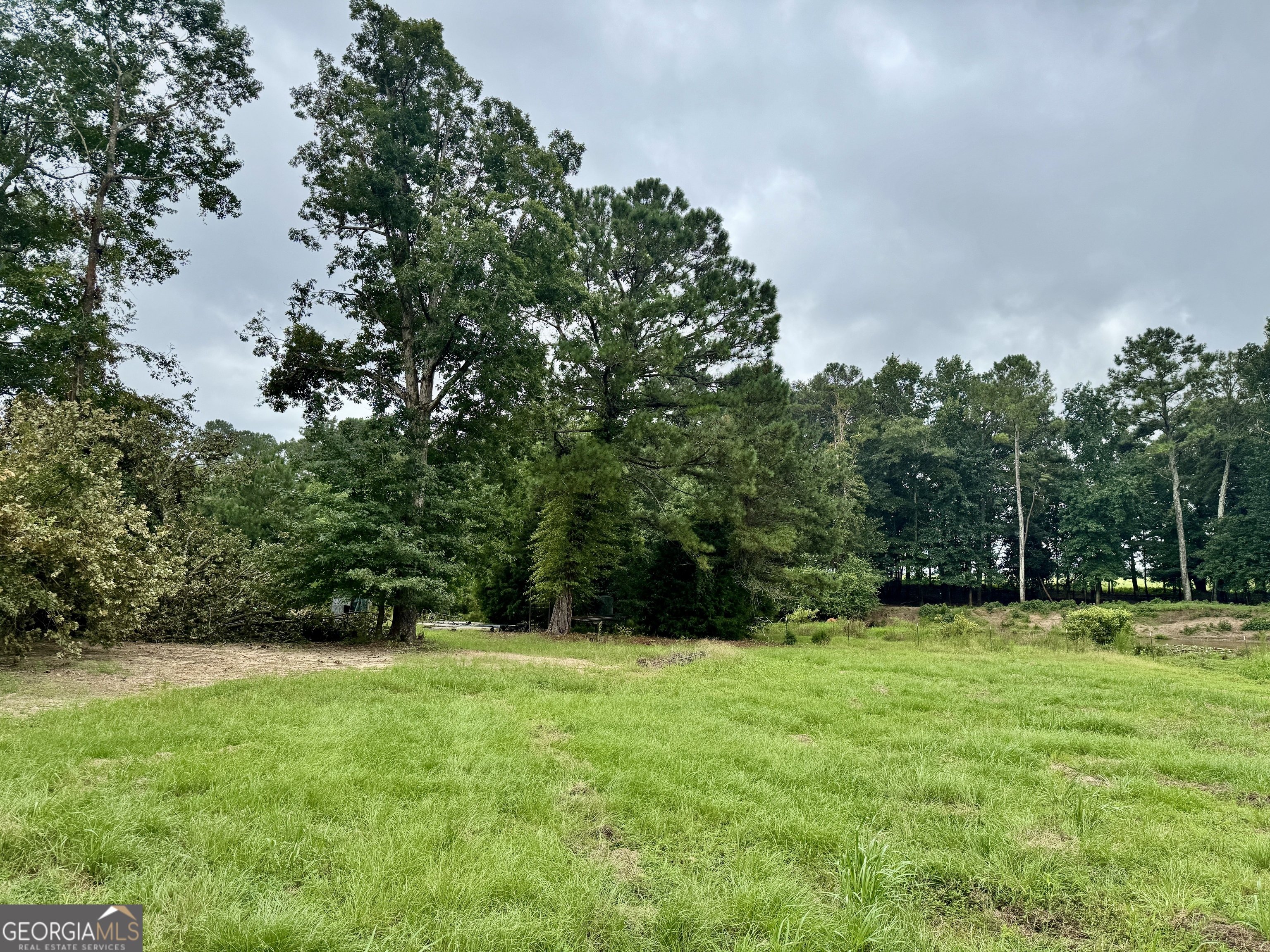 345 Cool Water Road Vienna, GA 31092 - Photo 39 of 41 a view of outdoor space with a garden