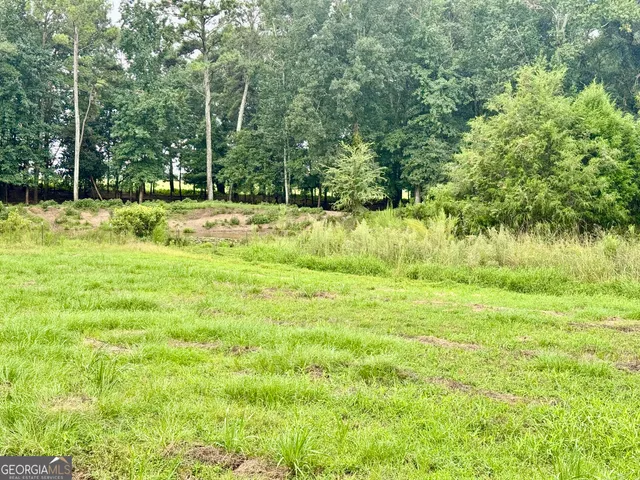 $305,000 | 345 Cool Water Road, Vienna, GA 31092